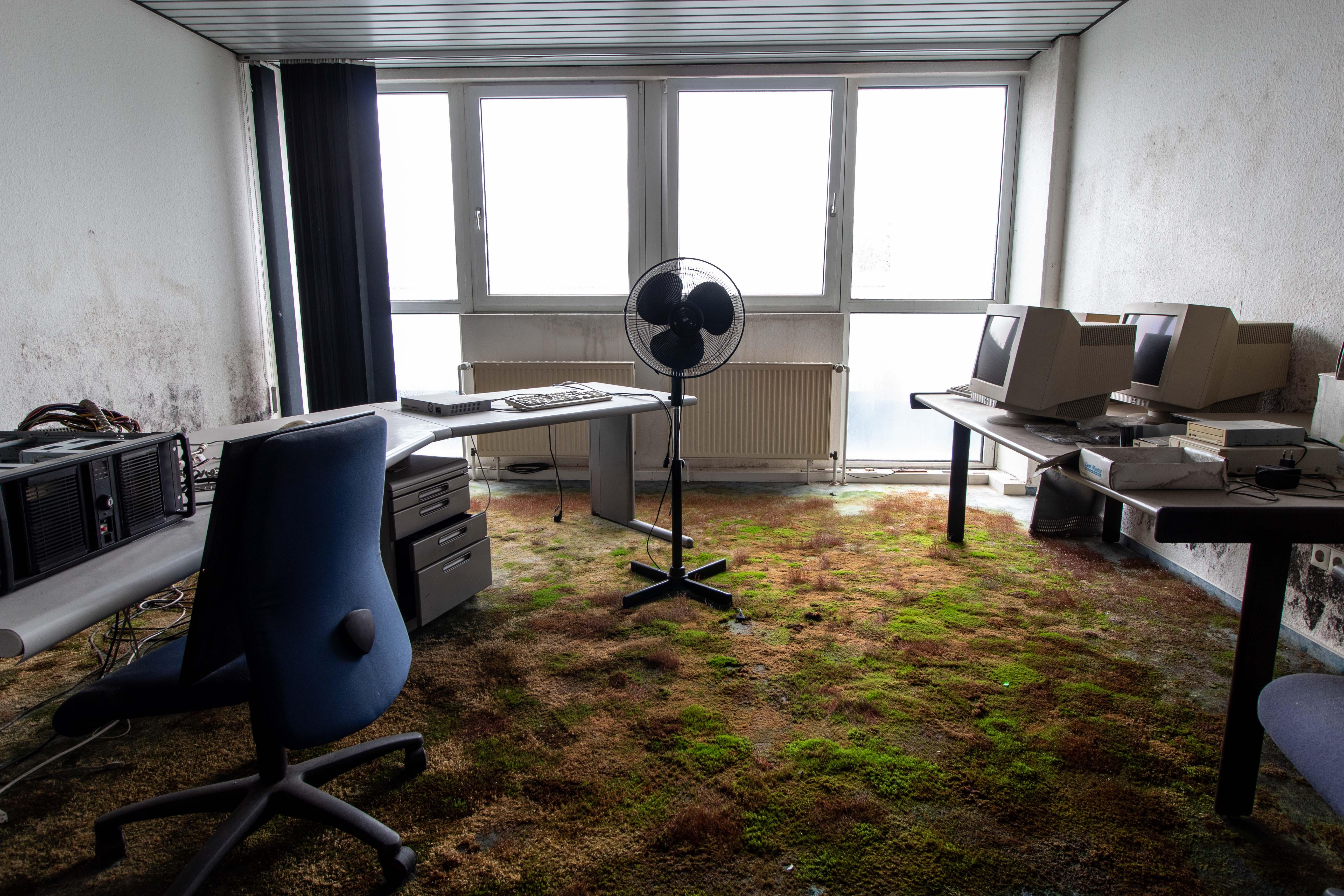 Abandoned office found with lots of moss and mold [OC] r/AbandonedPorn