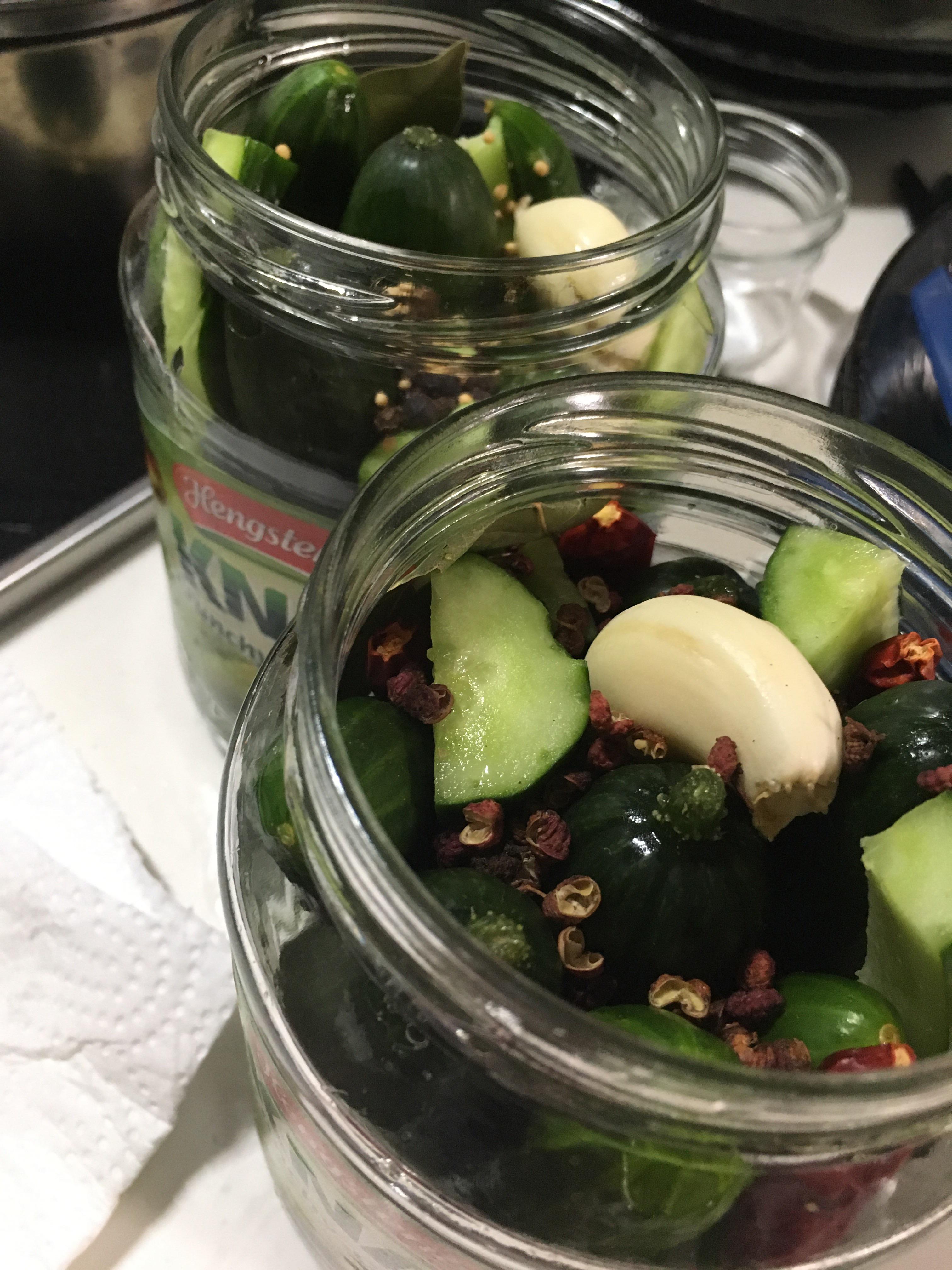 First try, classic and spicy with Japanese cucumbers r/pickling