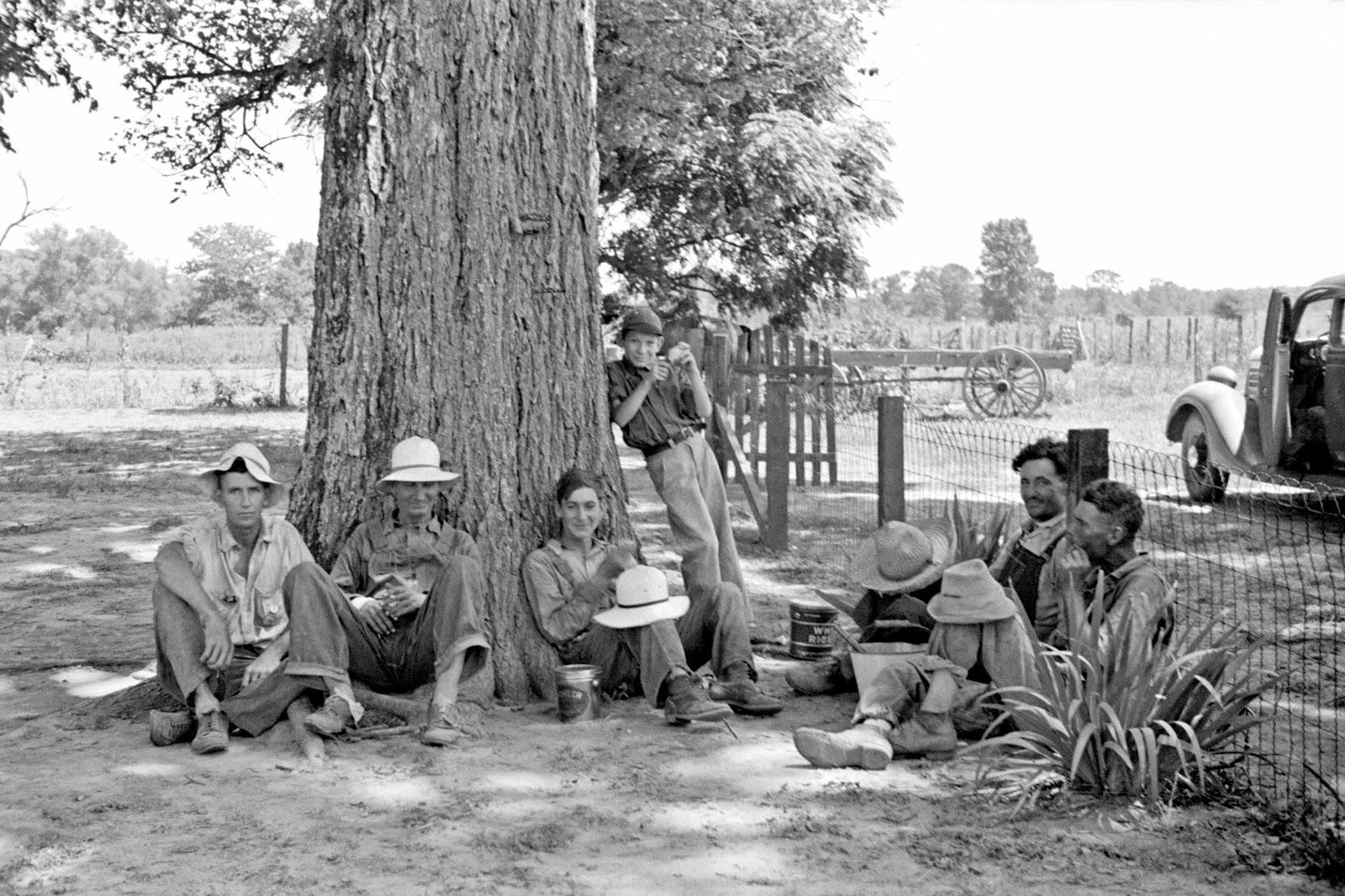 Lunchtime, Pulaski County, Arkansas. Stortz cotton plantation, 1935