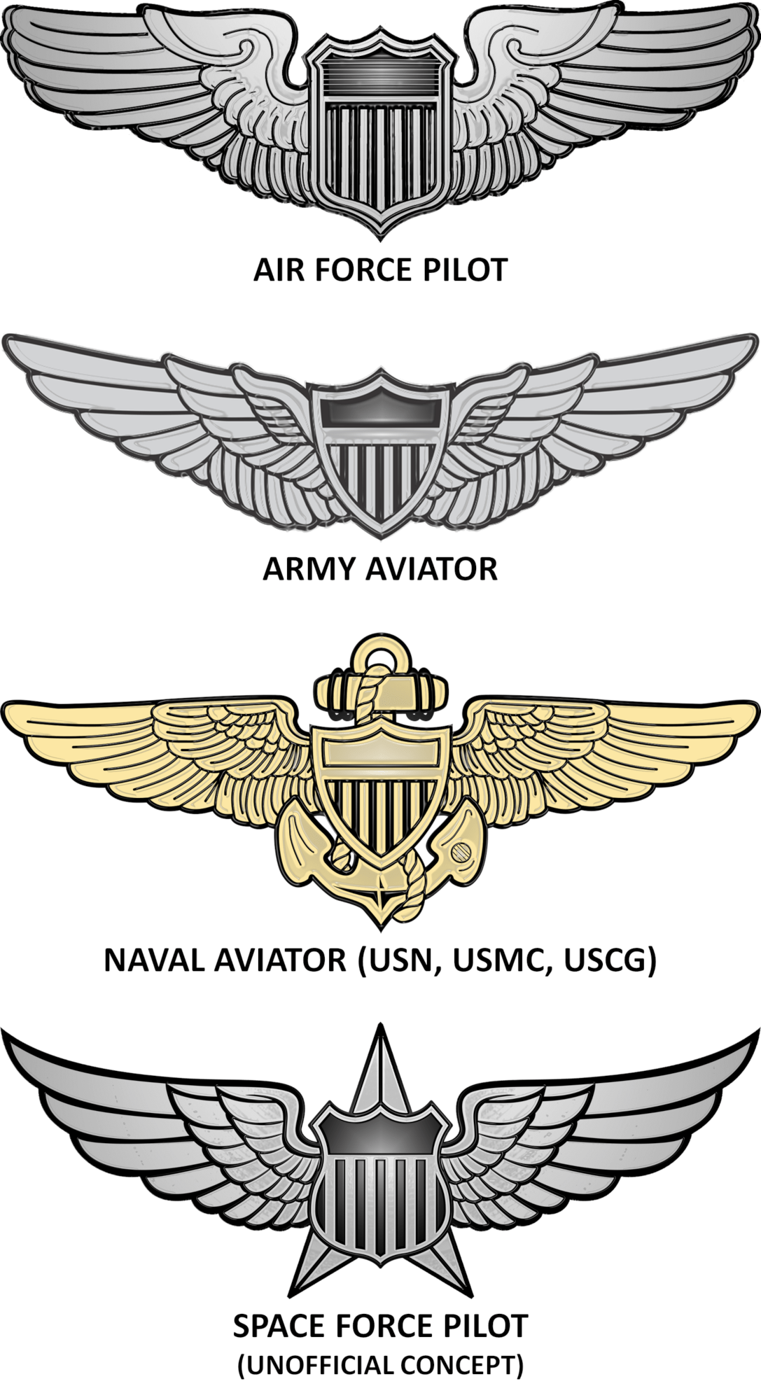 Space Force Pilot Wings Concept r/SpaceForce