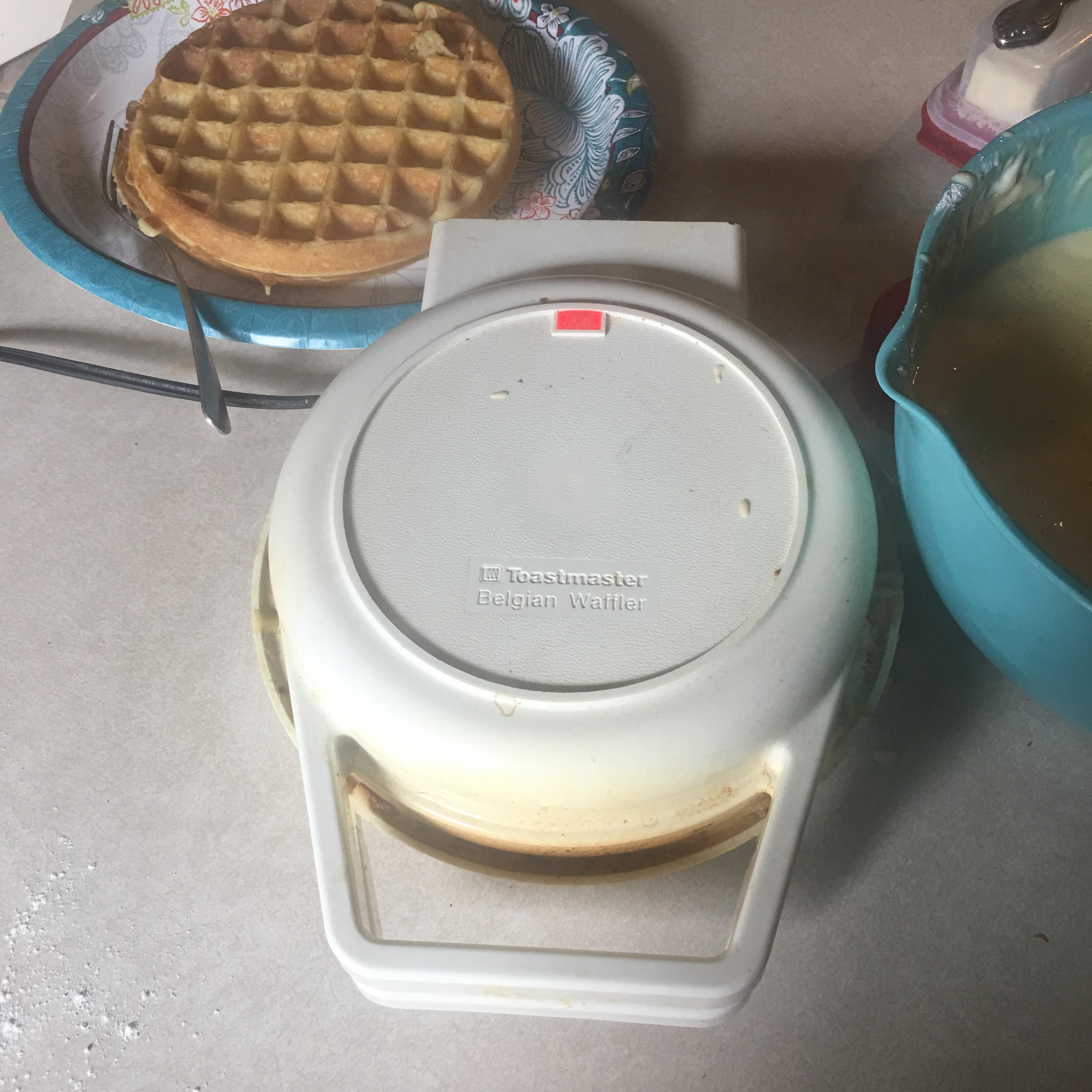 Toastmaster Belgian Waffler. Bought 25 years ago. : r/BuyItForLife