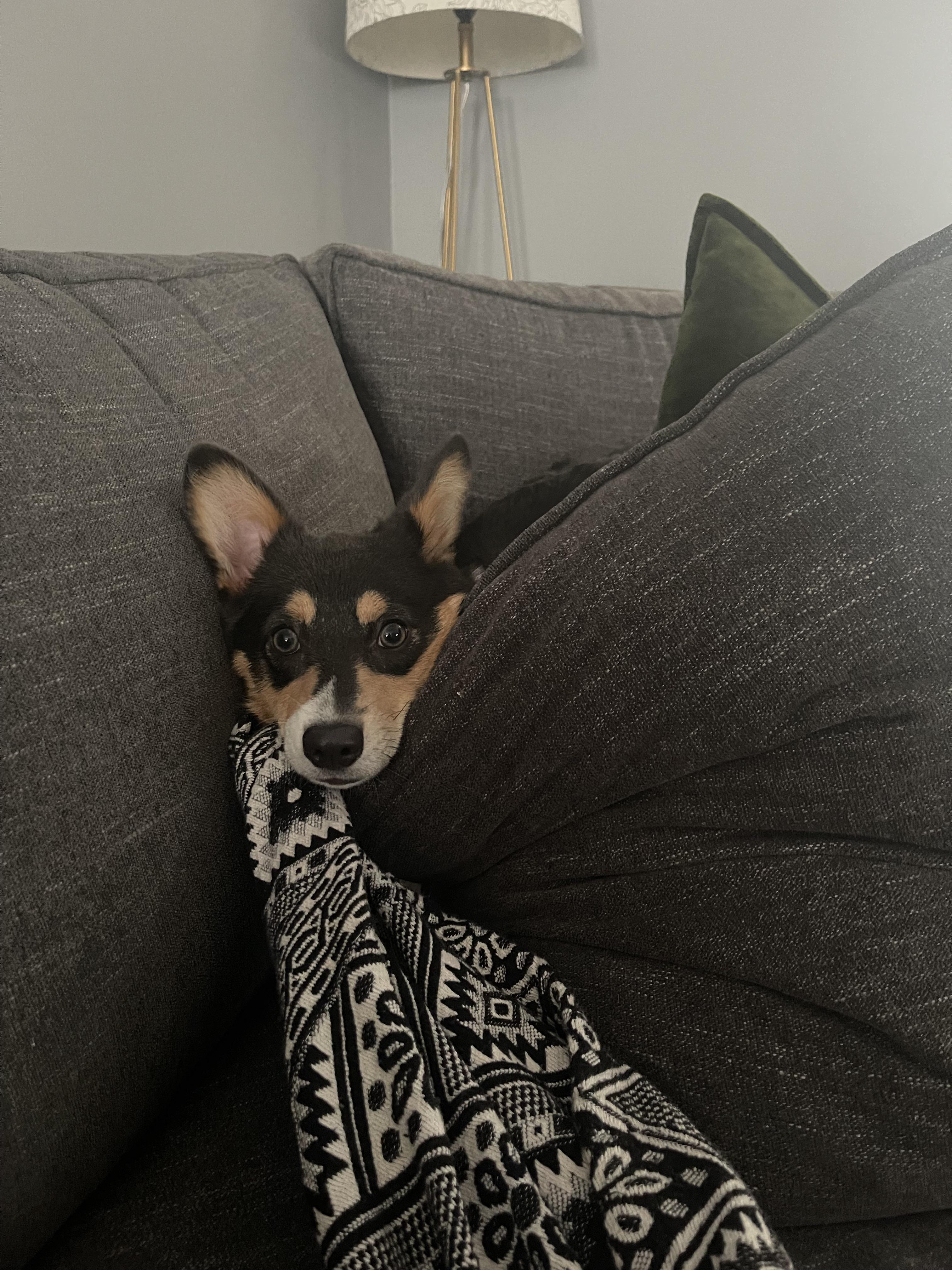 Do any of your hide things? We’ve been looking for our remote