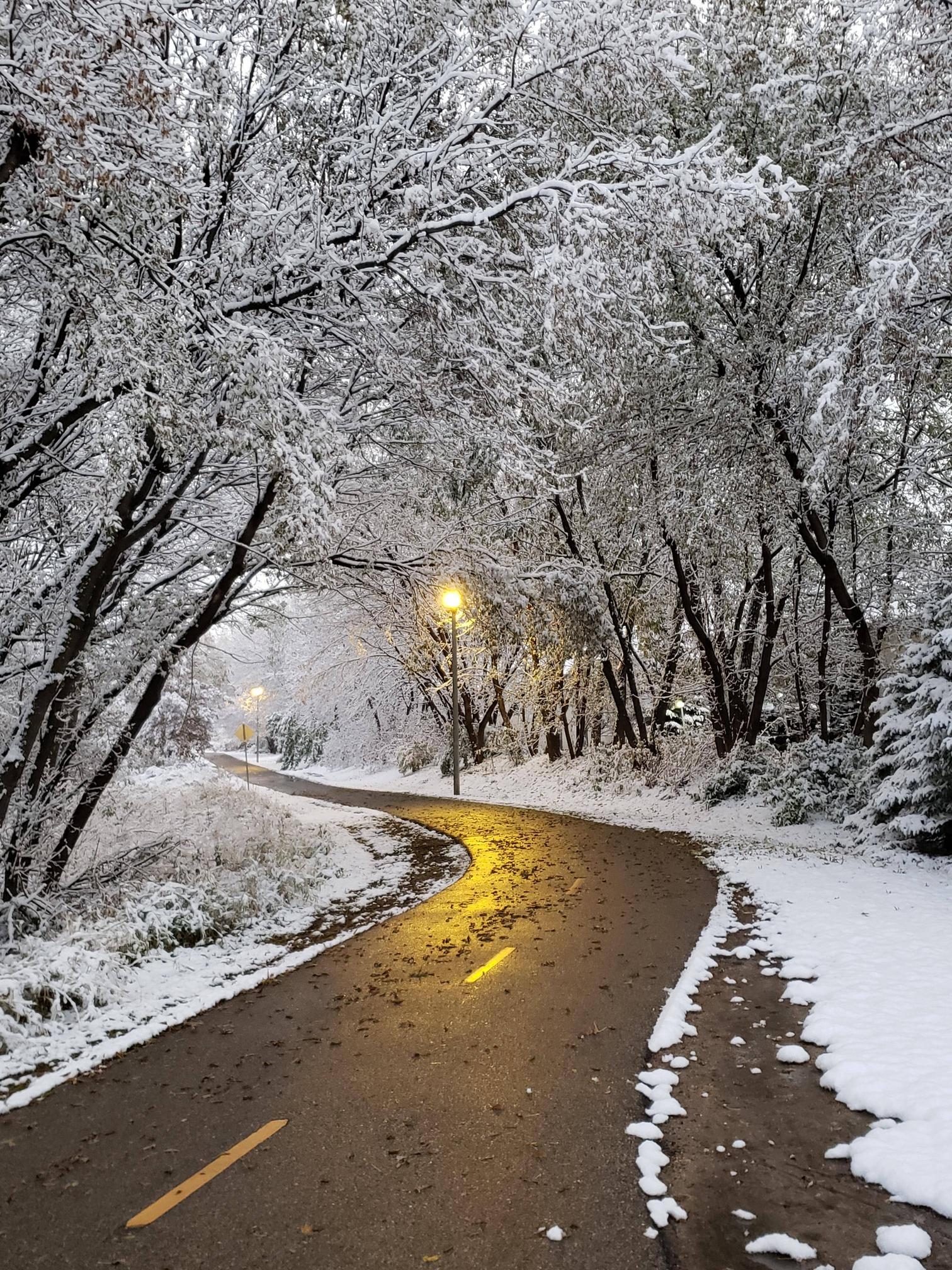 Carpenter Ridgeway Park, Madison, WI [OC] [1512x2016] r/EarthPorn