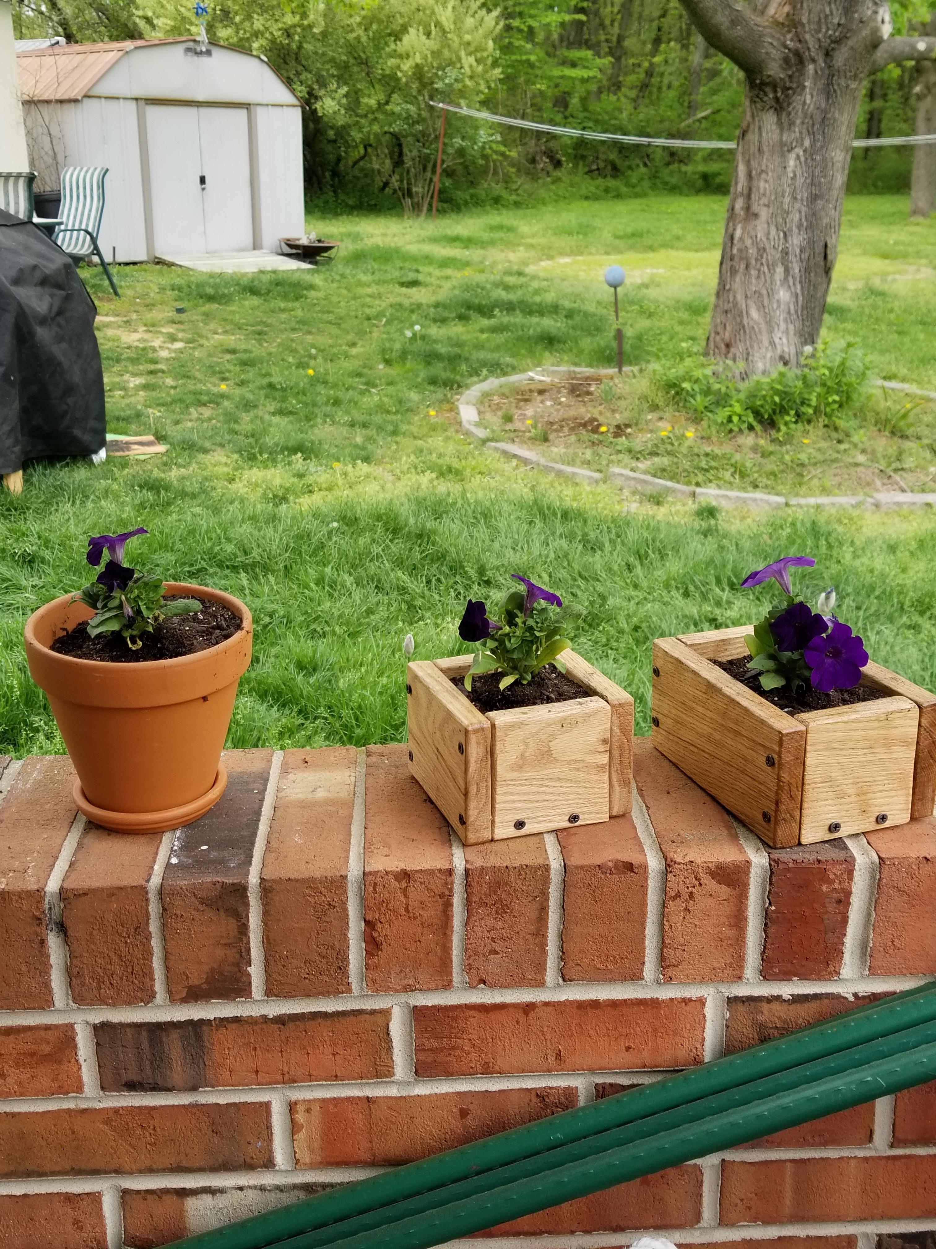 Mini flower boxes out of oak 1x4. First wood working project r