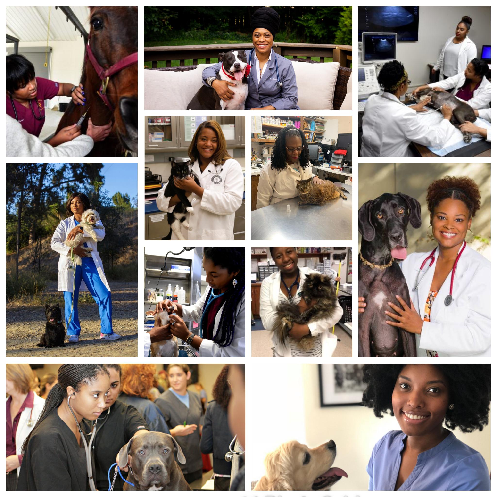 Black Women Veterinarians... r/blackladies