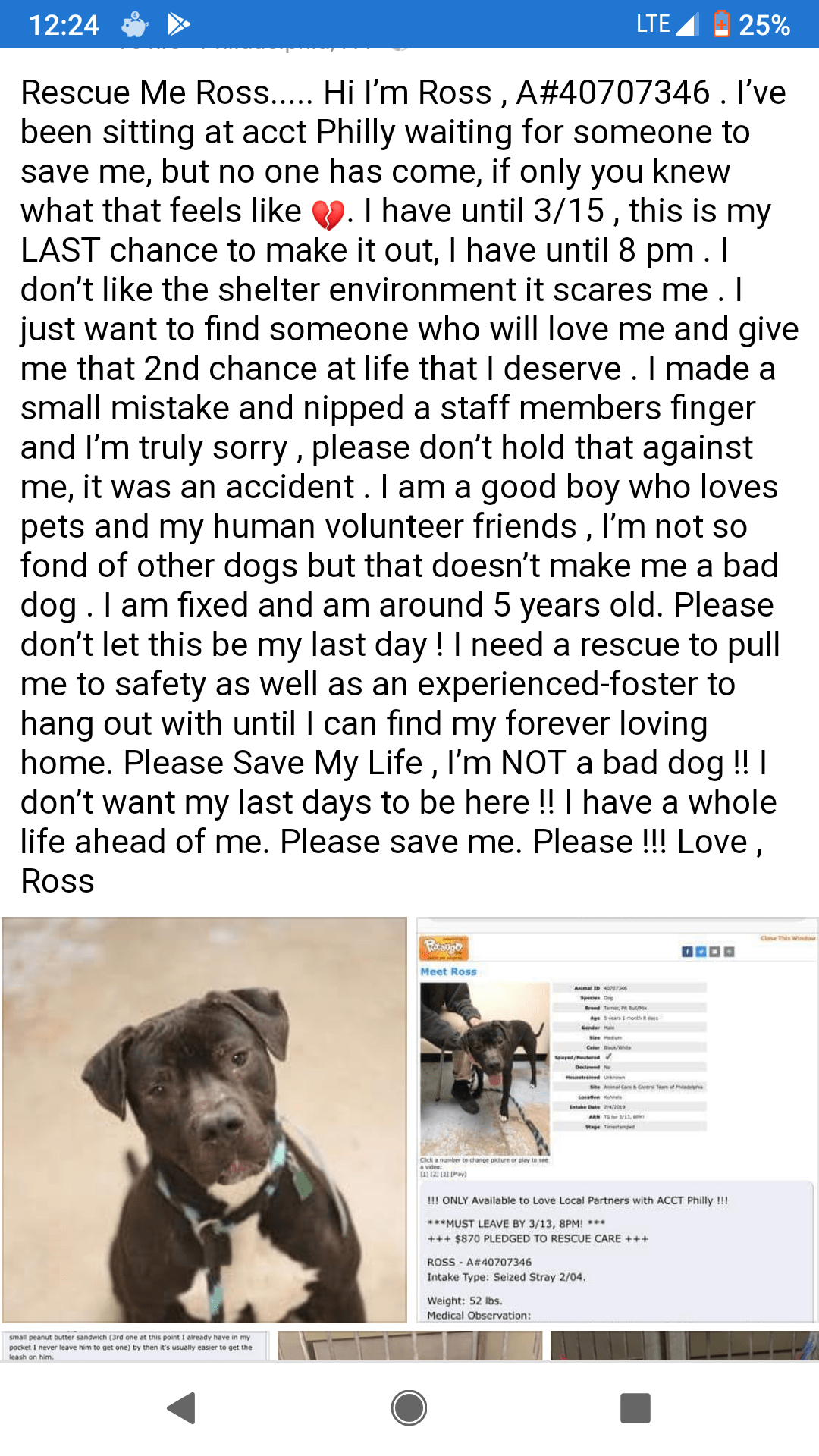 Pet Adoption Home Visit Reddit TERELET