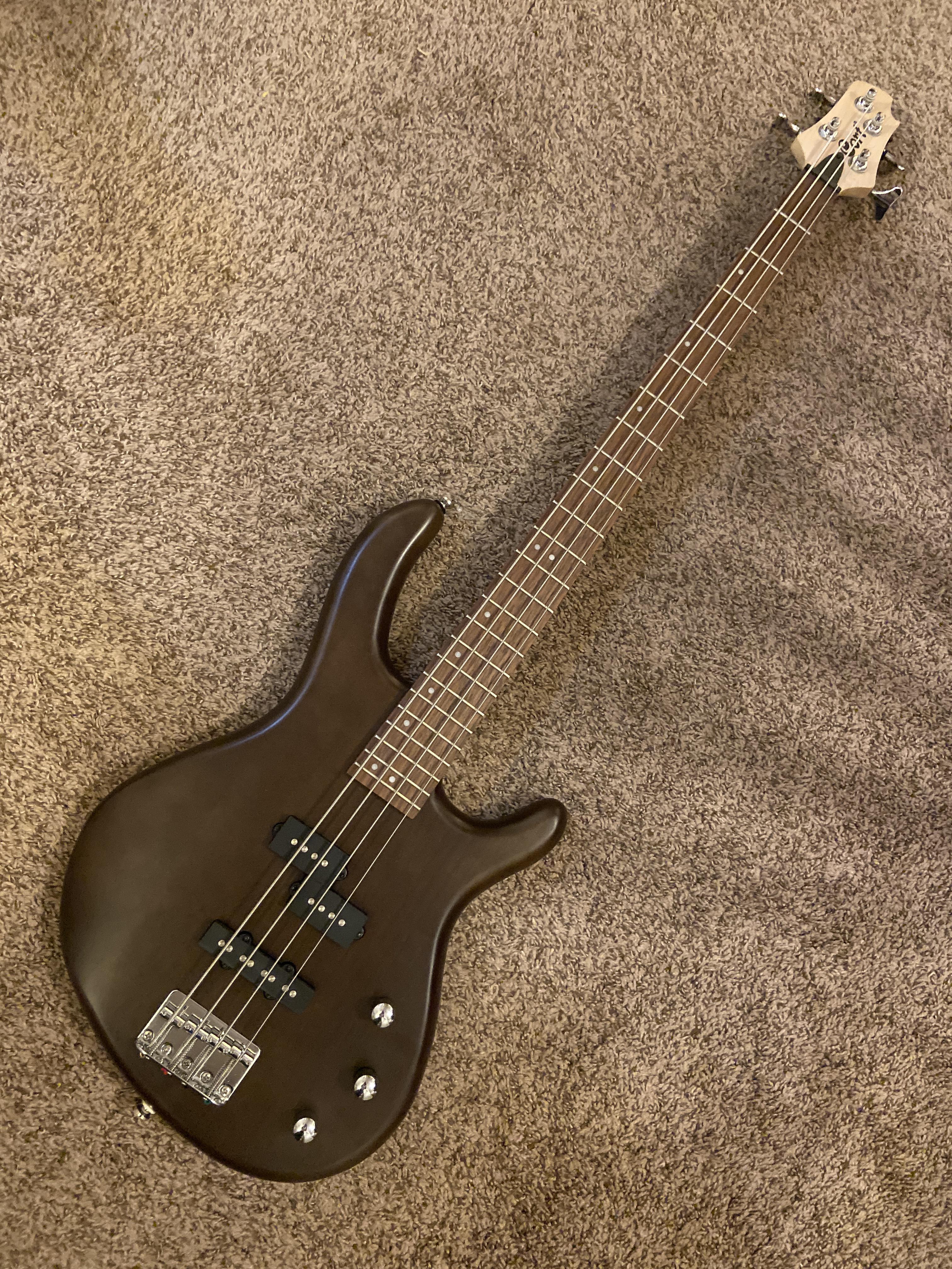 Cort Action PJ. Walnut finish. Quite pleased with this for the price