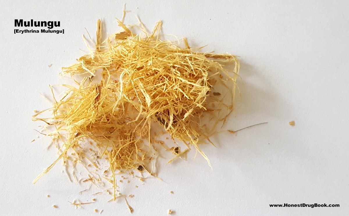 Mulungu A Sedating Dream Herb drugsarebeautiful