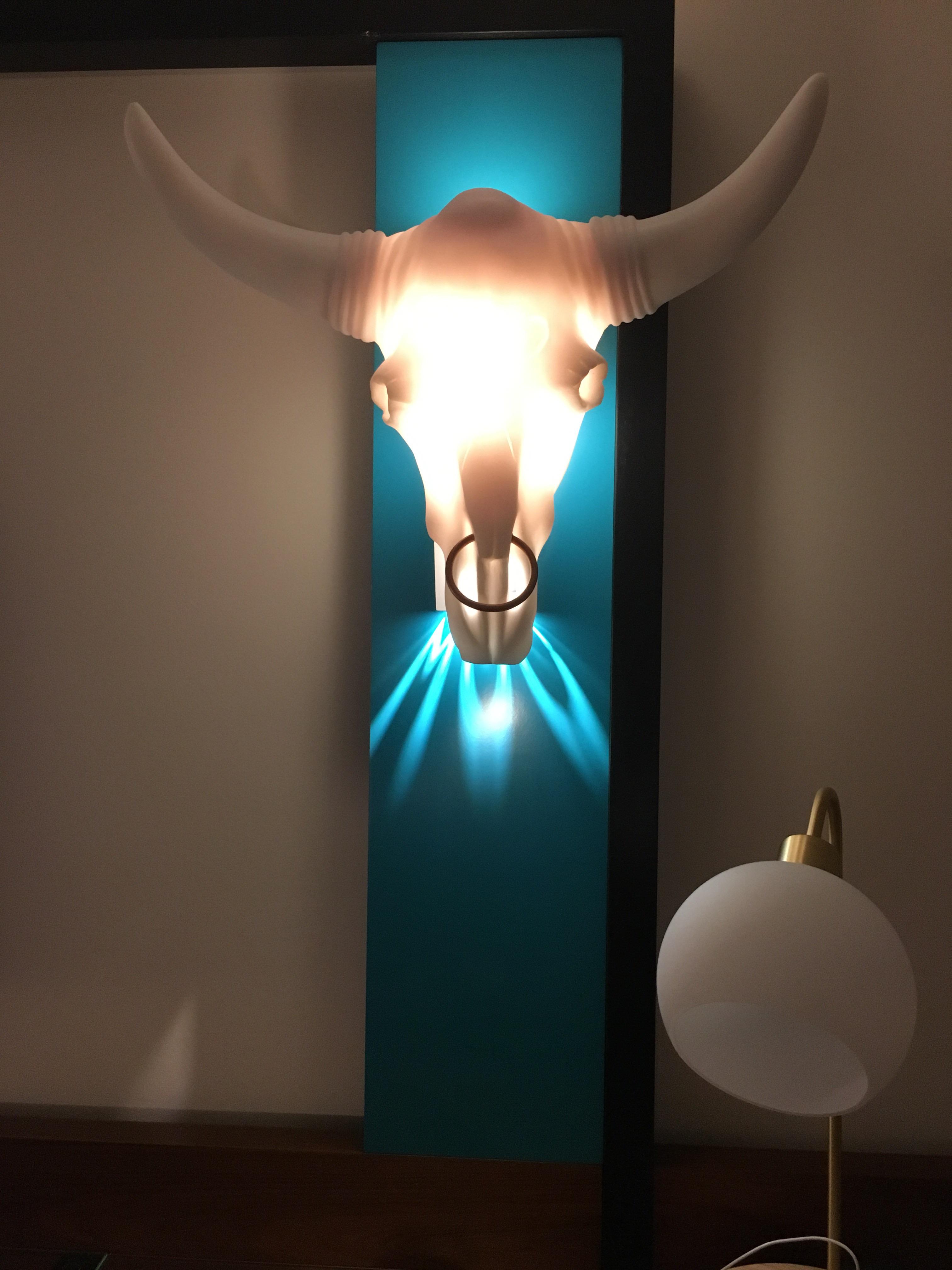 The light coming from this cow skull lamp says “MOO” r/mildlyinteresting