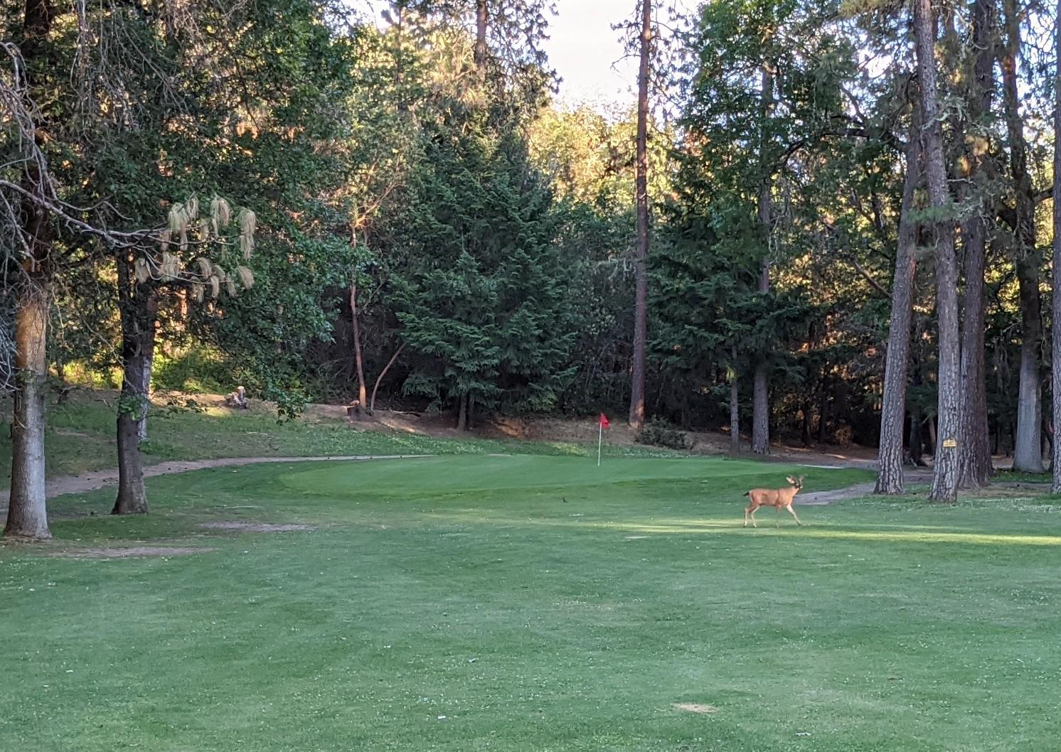 What the buck, Oregon? r/golf