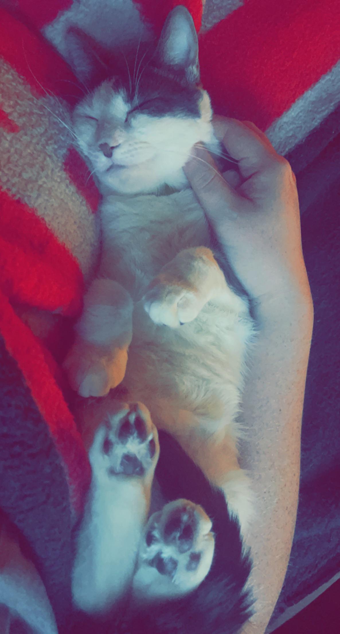 I cannot walk away from my drink for more than a few seconds without my