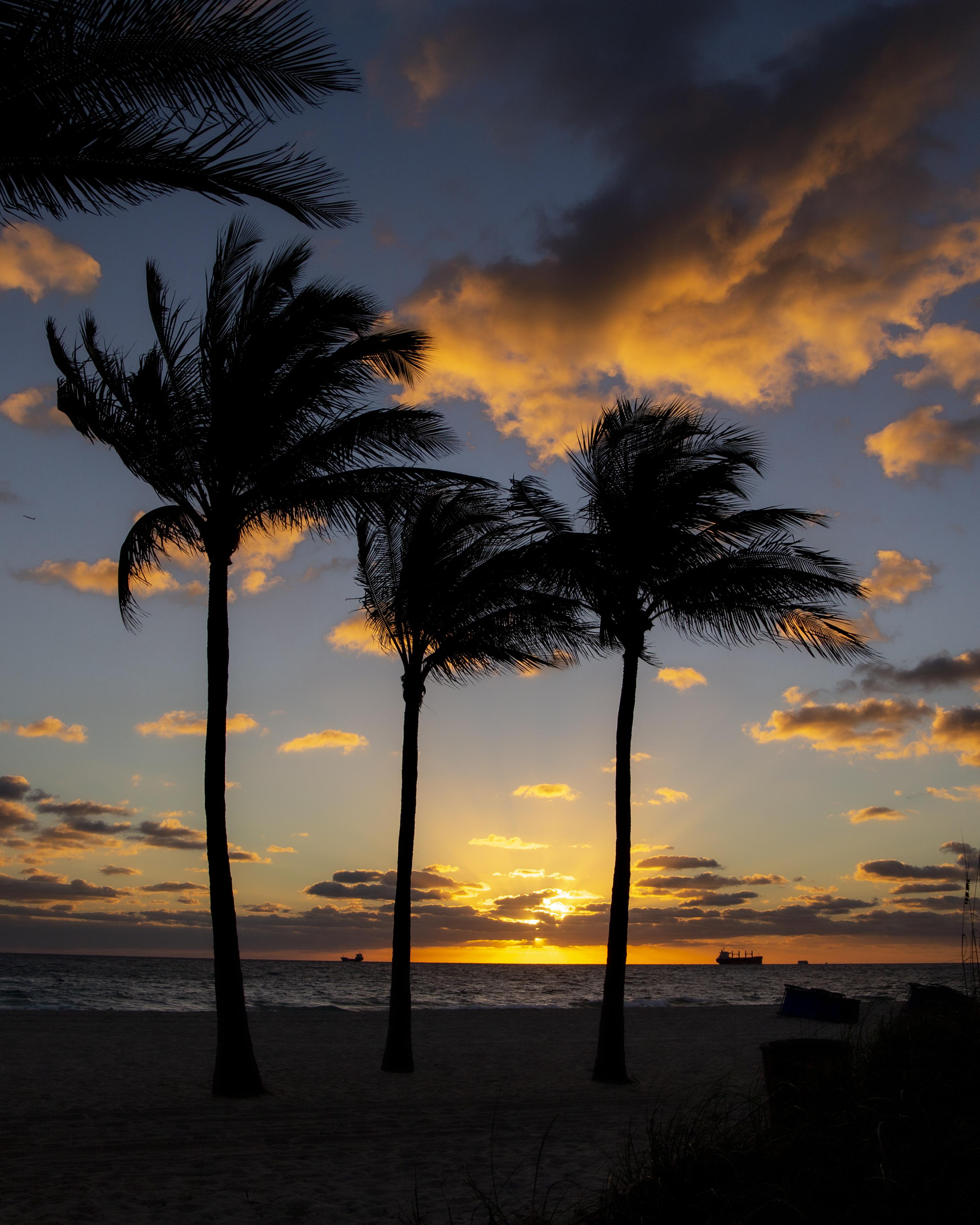 Sunrise in Florida! r/MostBeautiful