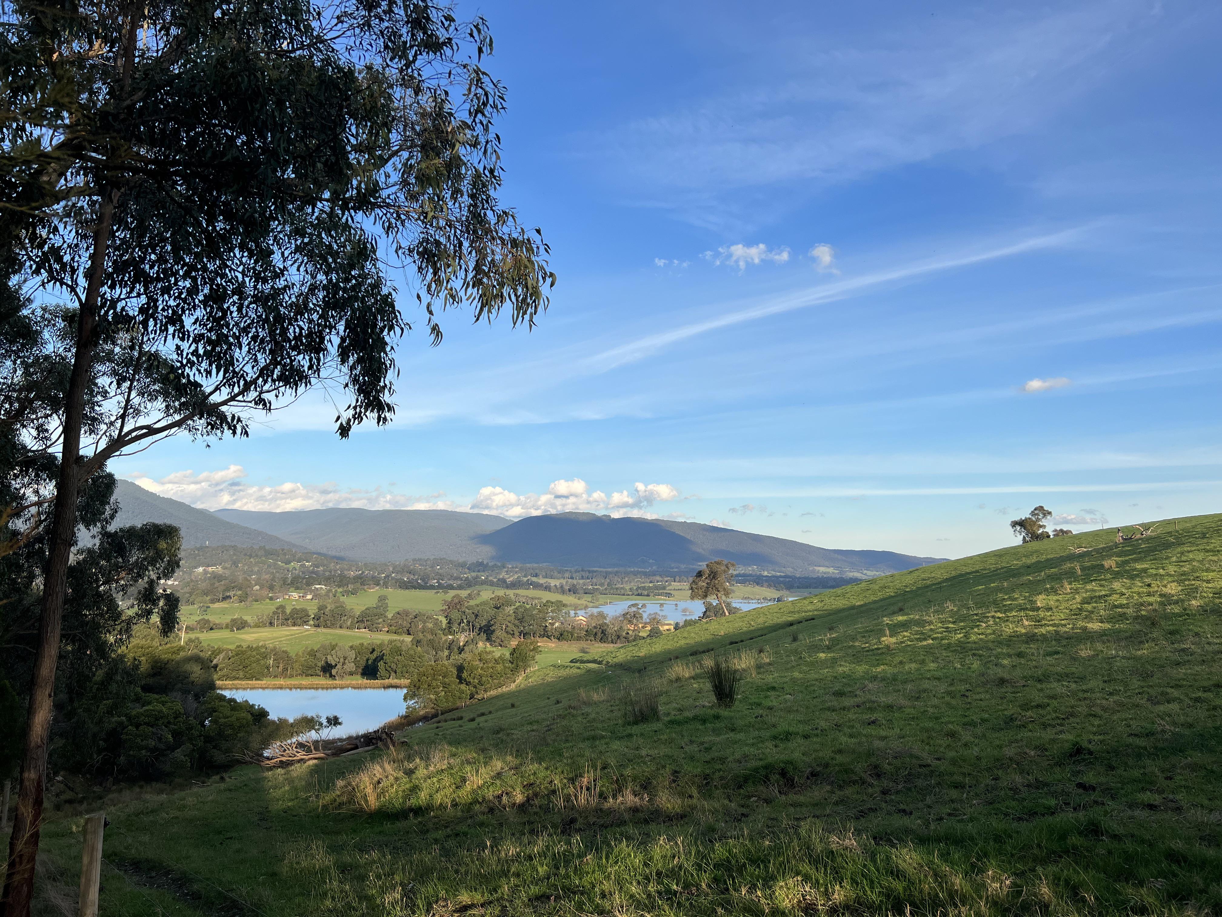 Looking south from Healesville r/Yarravalley