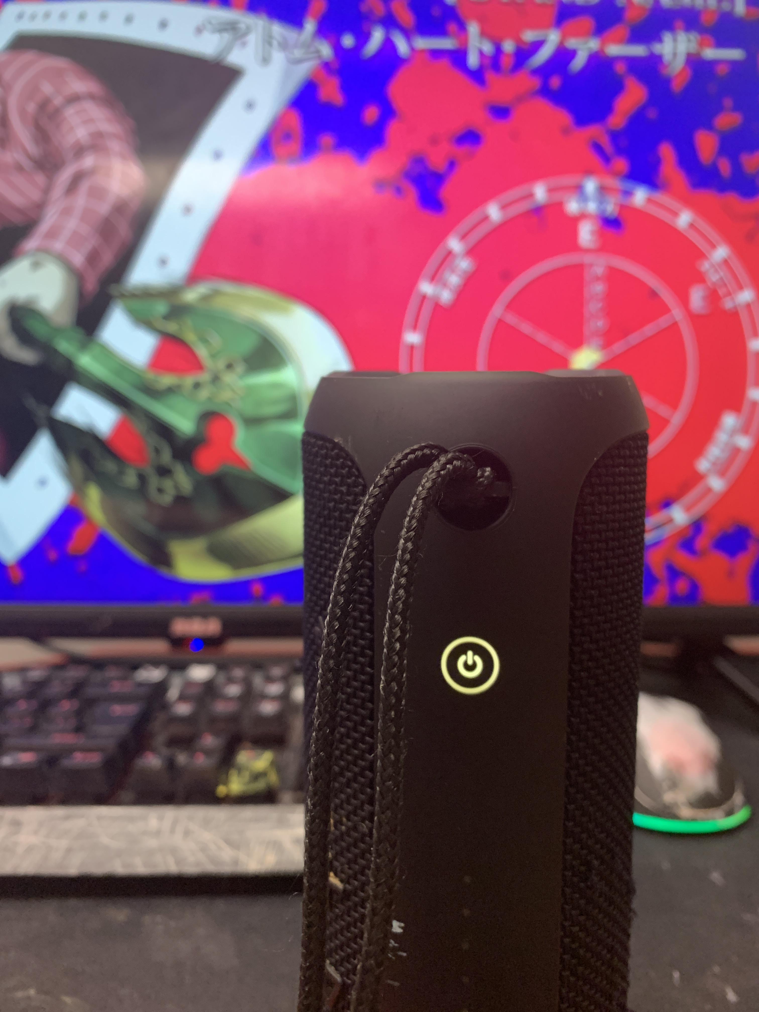 JBL flip 3 is white when I turn it on and hard reset it, How do I fix this, and no it’s