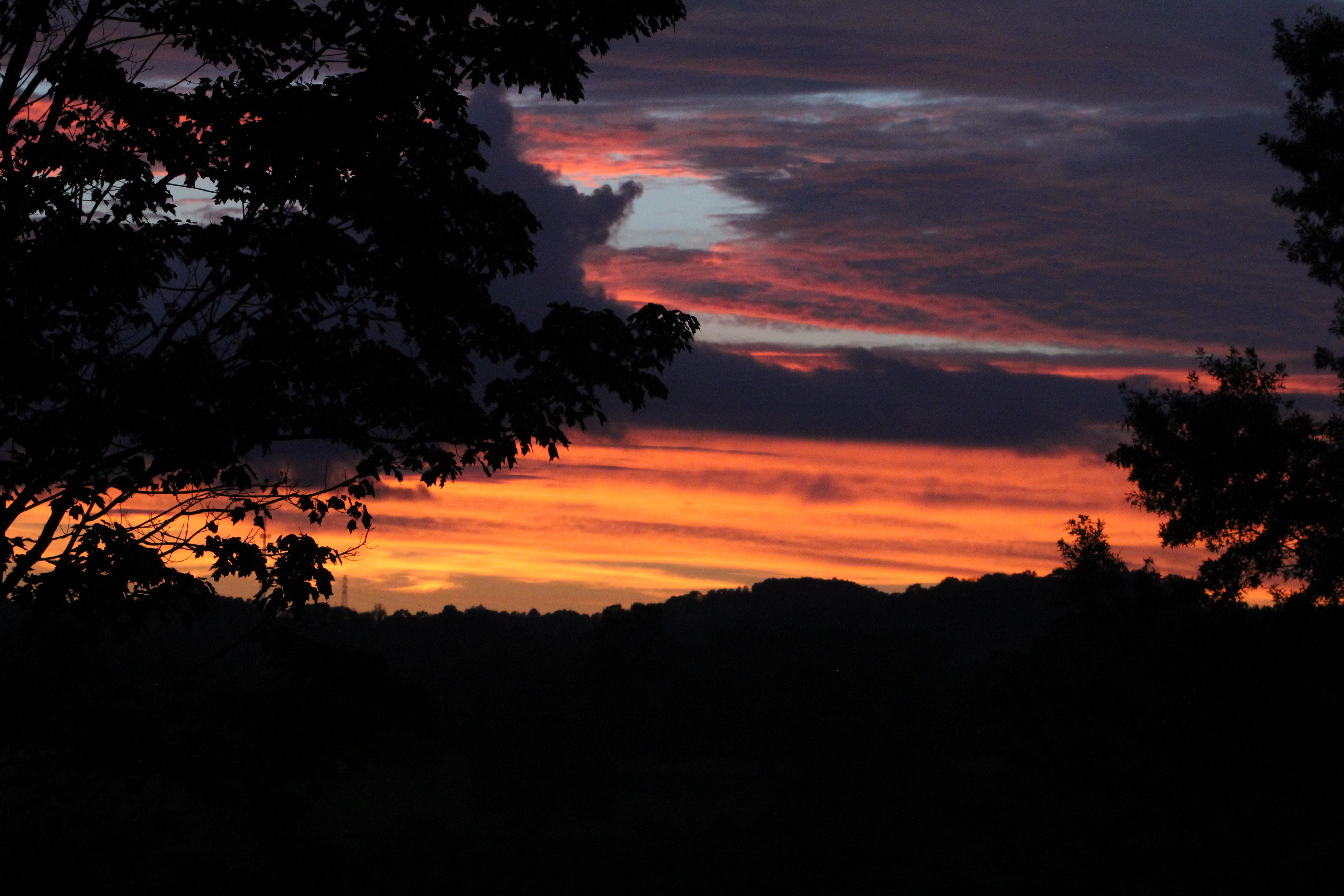 The view from my backyard (Mount Carmel, TN) r/Tennessee