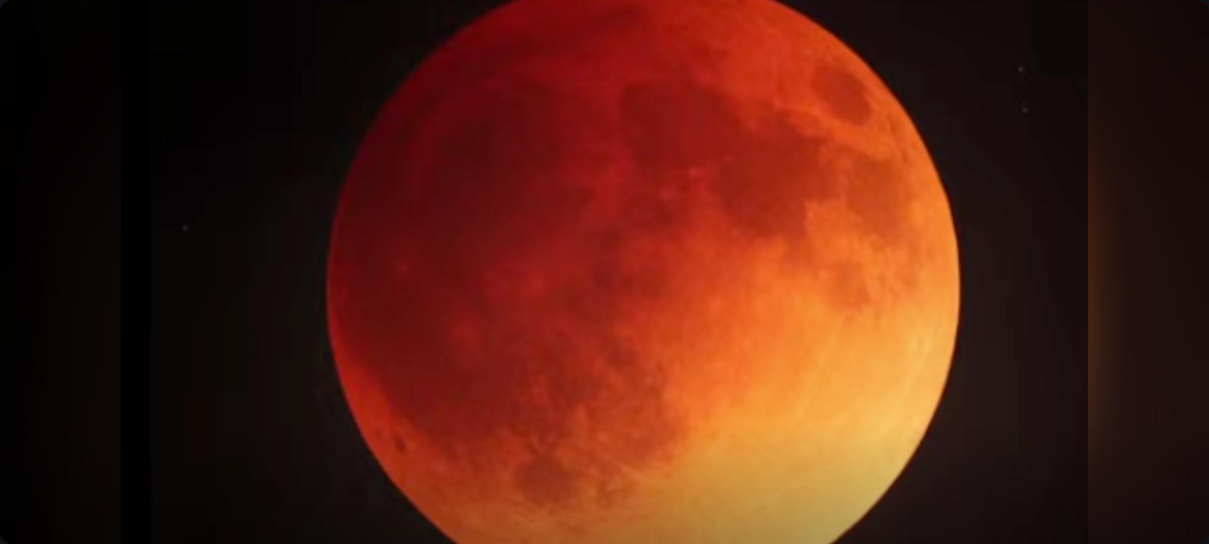 Flower Blood Moon Lunar Eclipse in FULL Effect. I might be drunk, but