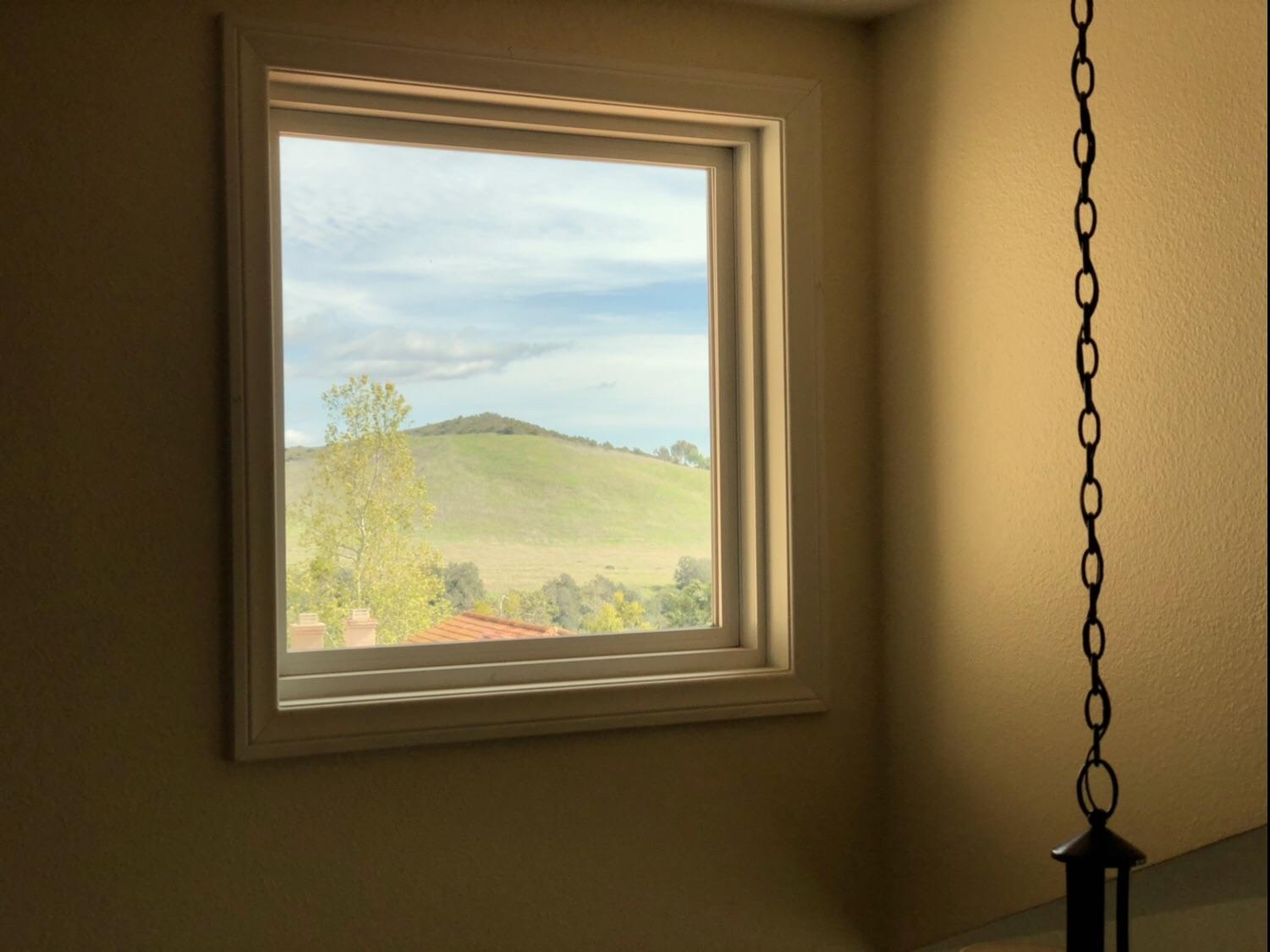 This window looks like a painting r/mildlyinteresting