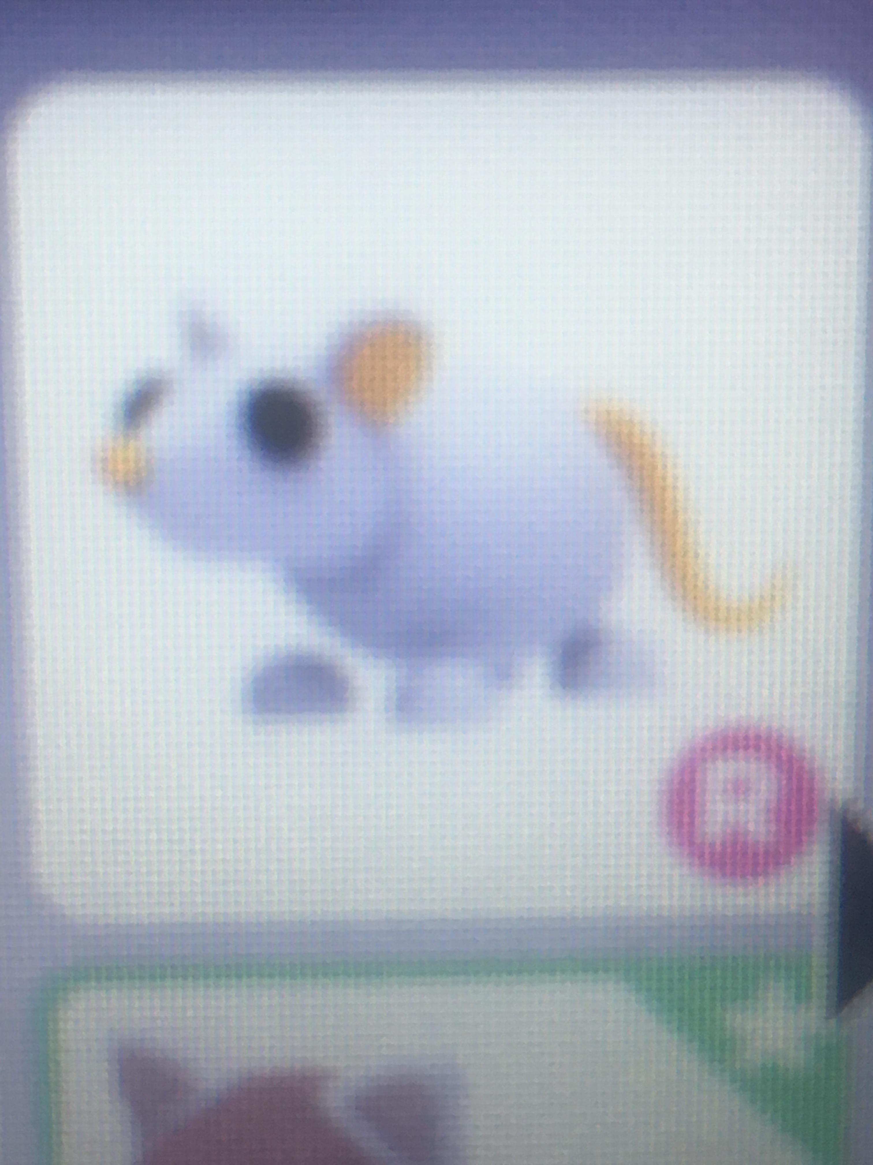 What is a ride golden rat worth? r/AdoptMeTrading