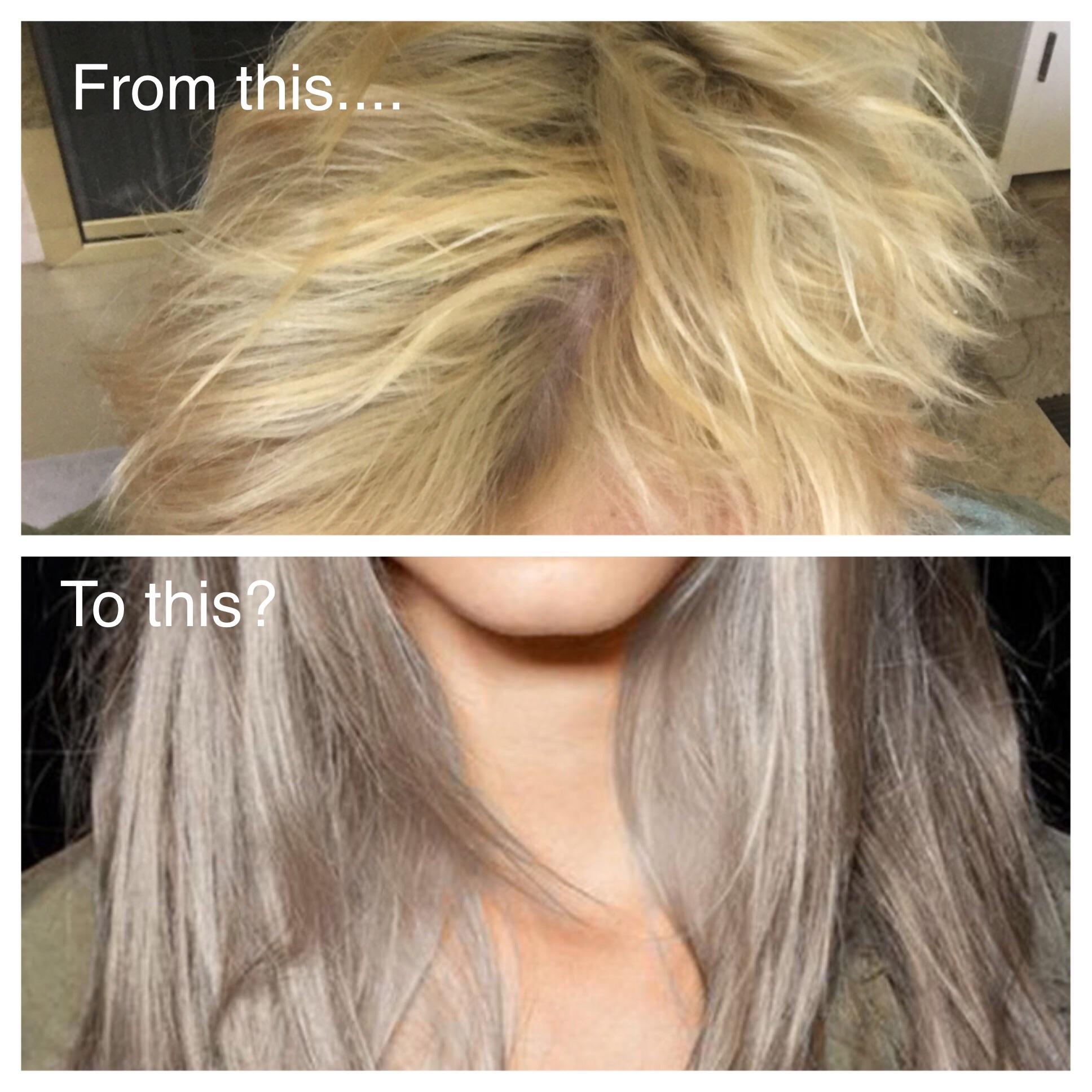 overview for burntorangekitty