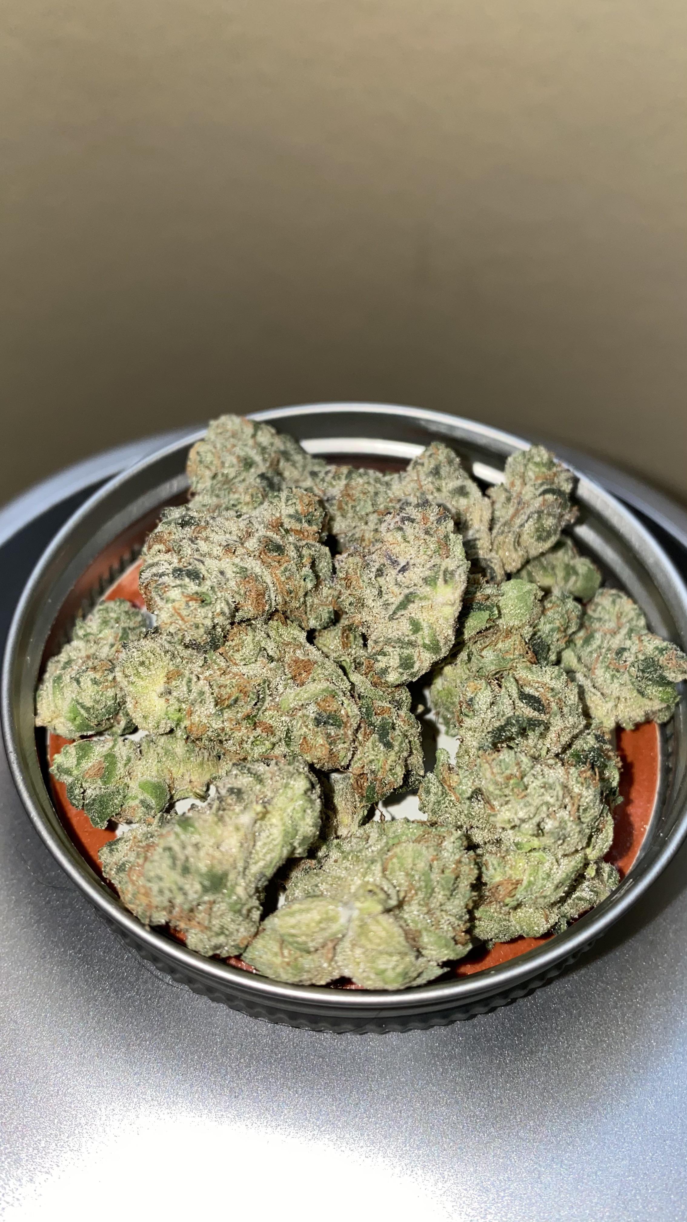 Roasted Garlic Margy at 24.75 and 1.85 terps r/FLMedicalTrees