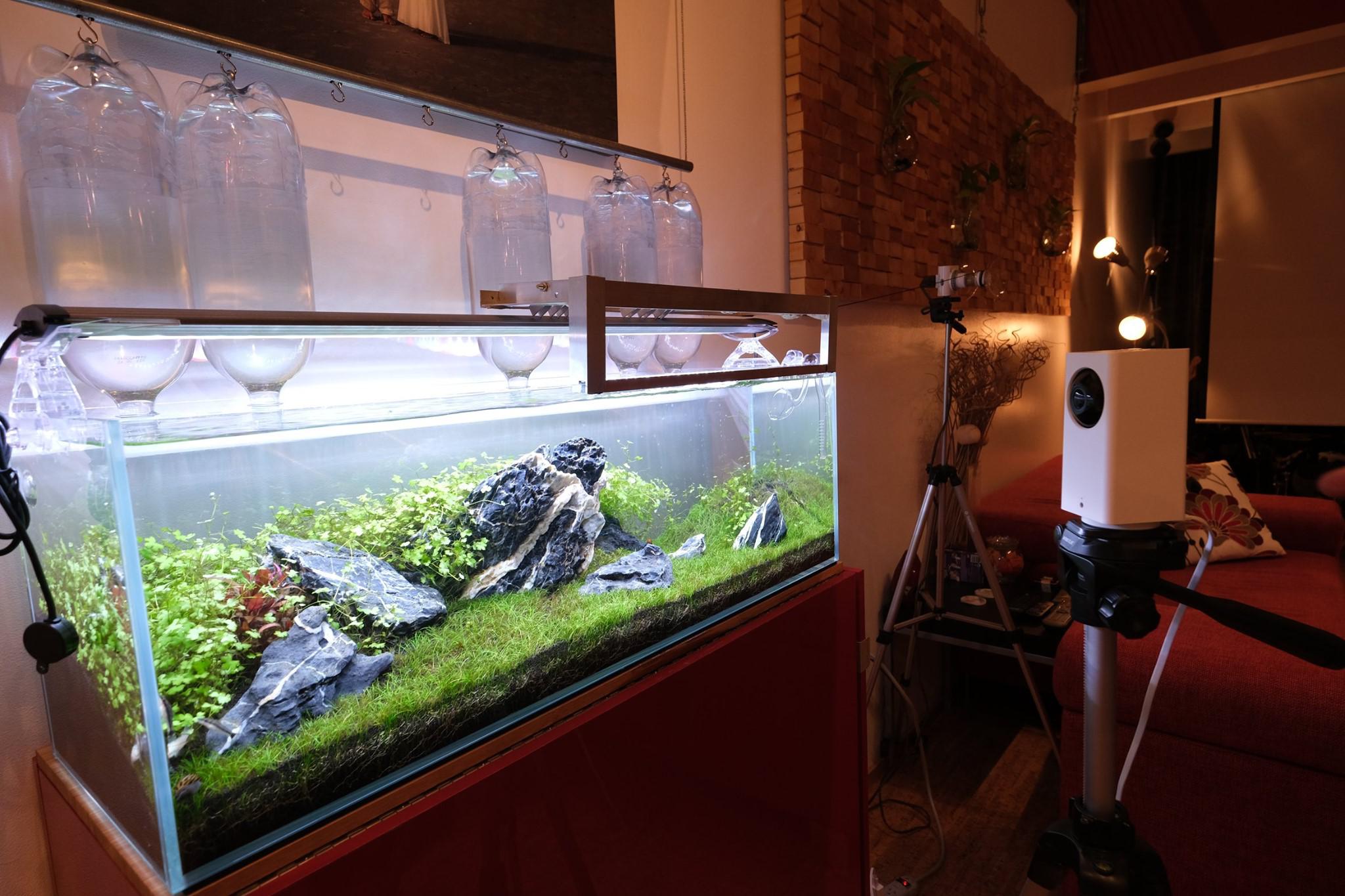 Saw on Facebook DIY auto topoff made by a hobbyist, thought it might be useful to someone