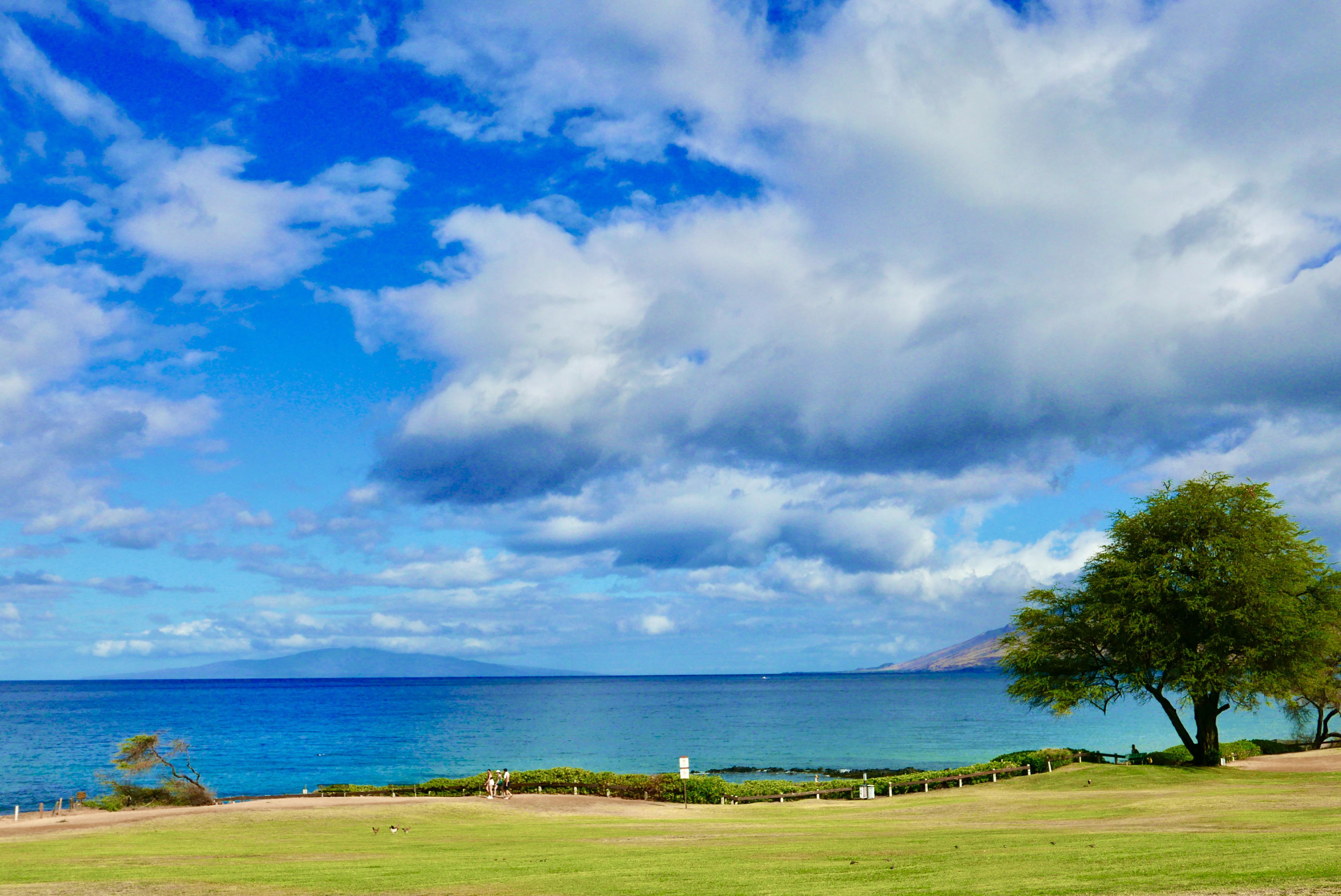 Kihei, Maui, HI. Leica Dlux type 109. I have been using it since 2015. r/leicaphotos