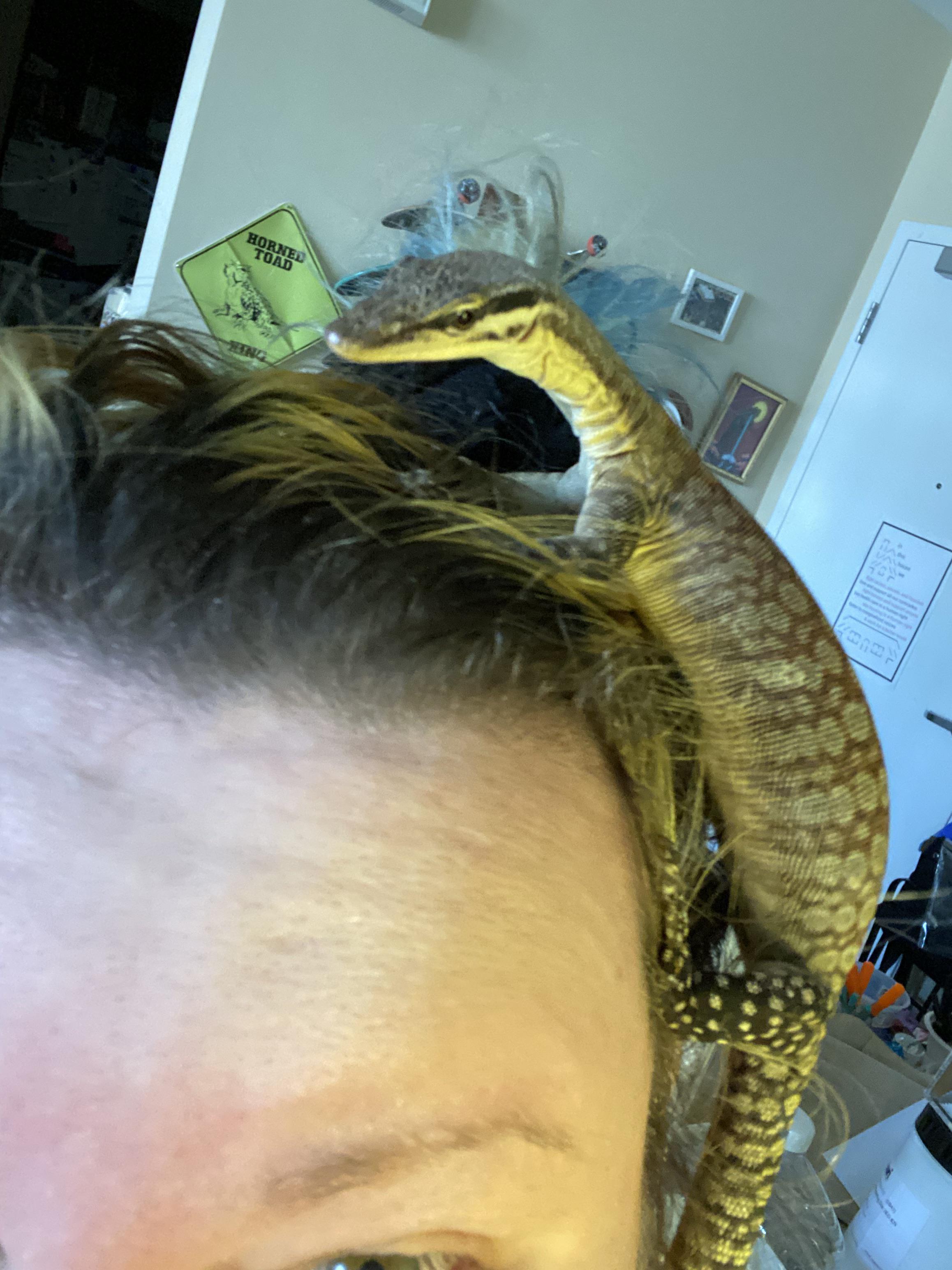 How much do you tip a hairdresser? r/MonitorLizards