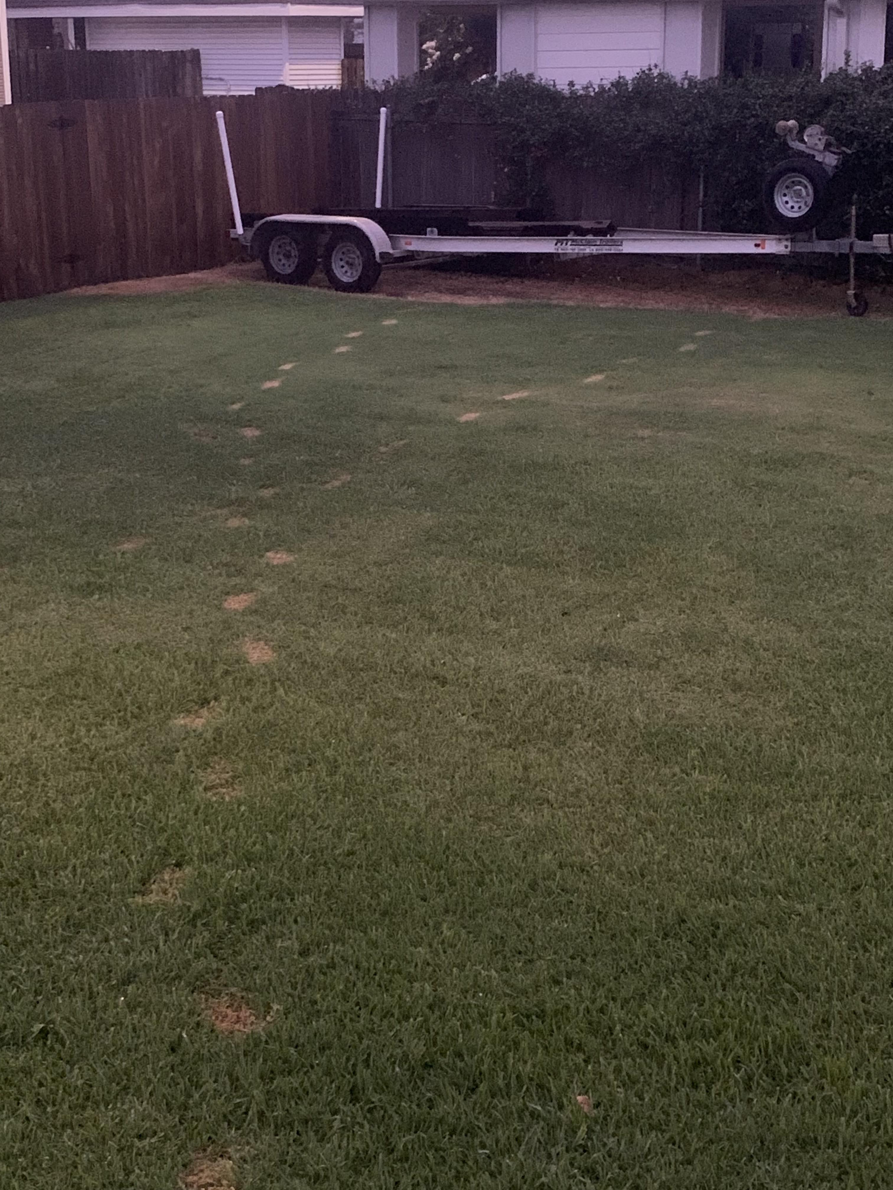 I put weed killer down and didn’t rinse my shoes off r/funny