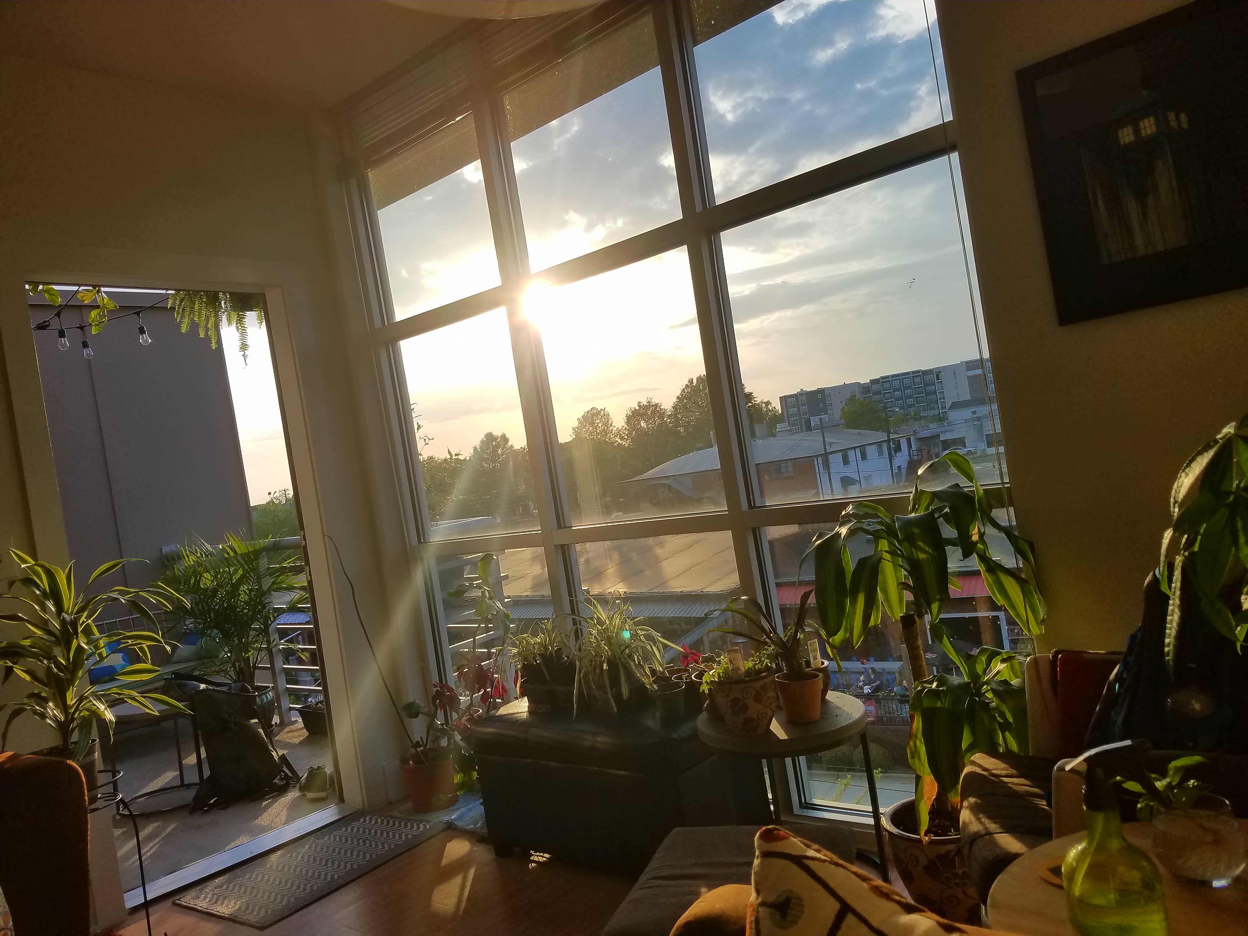 My Charlotte apartment