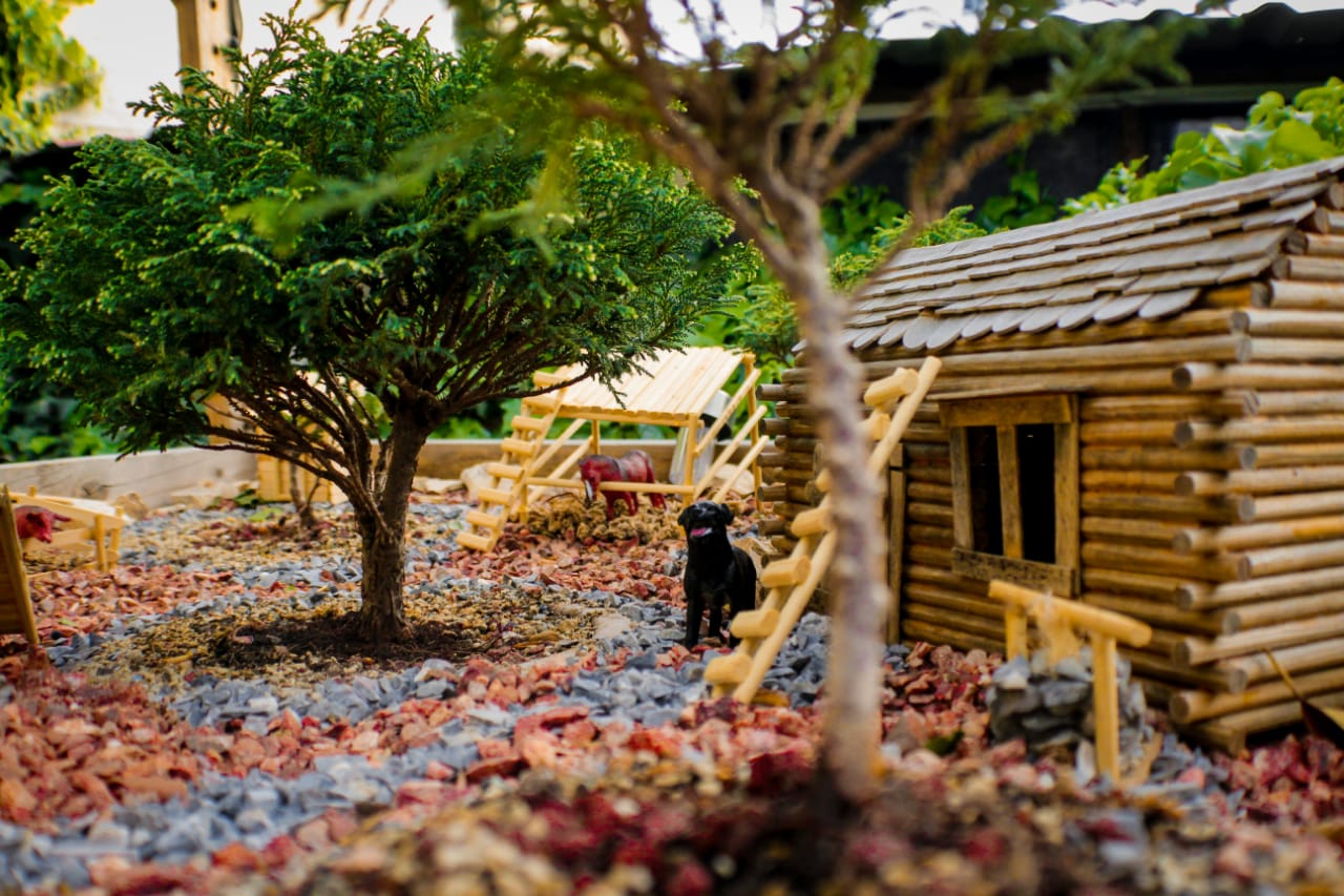 My Miniature Ranch. I started to build it last Year r/BonsaiPorn