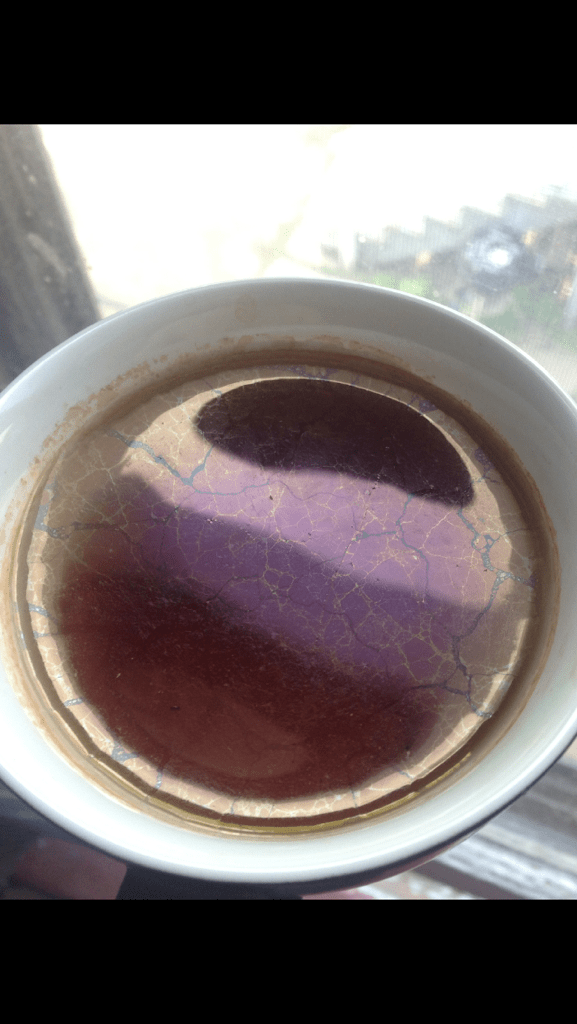 I left my tea out overnight. Why does it look like this? r/tea