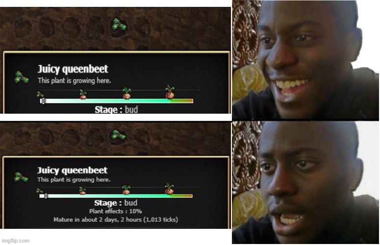 Finally got a Juicy queenbeet r/CookieClicker