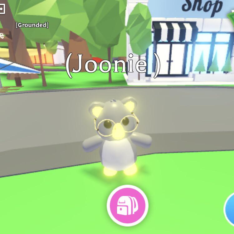 Roblox Adopt Me Pet Turtle