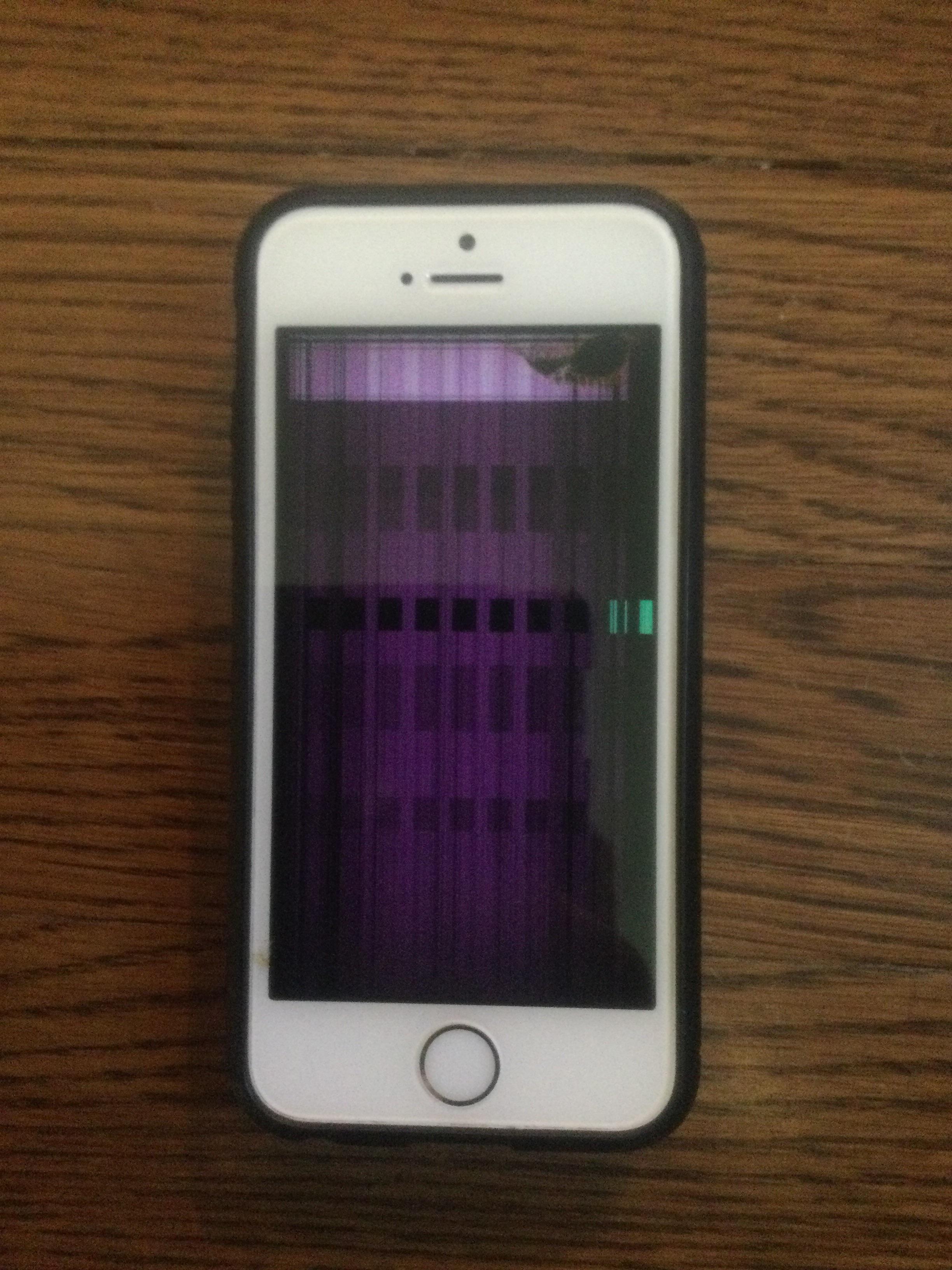 My iPhone SE’s (first gen) screen is purple with green squares the
