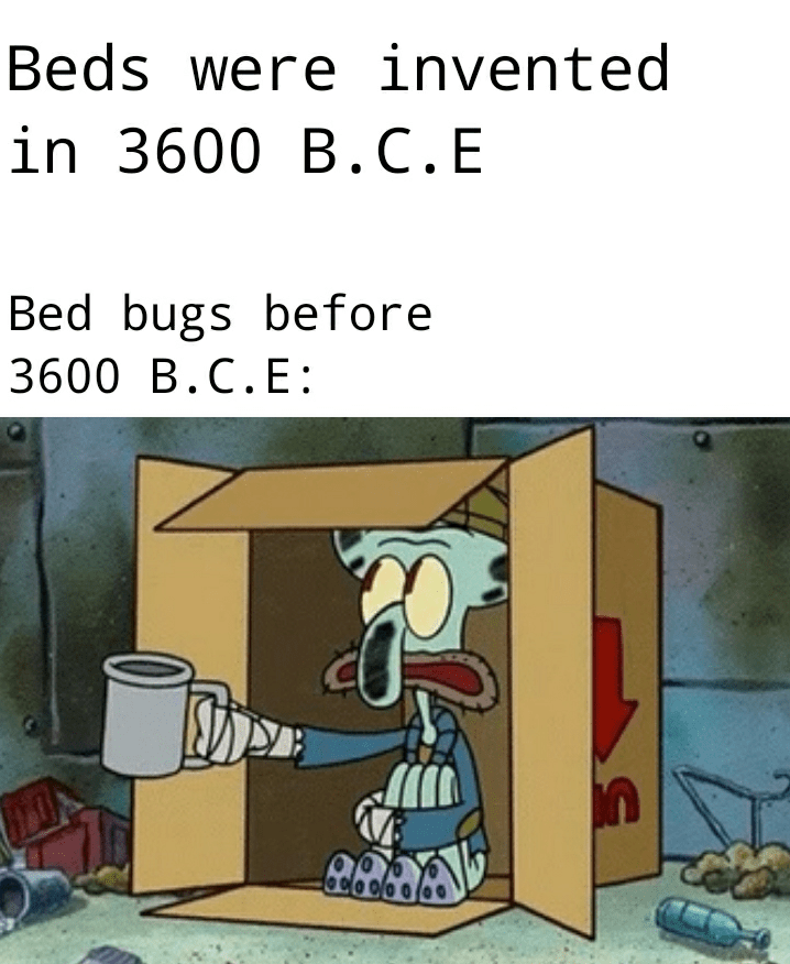Bed bugs r/memes