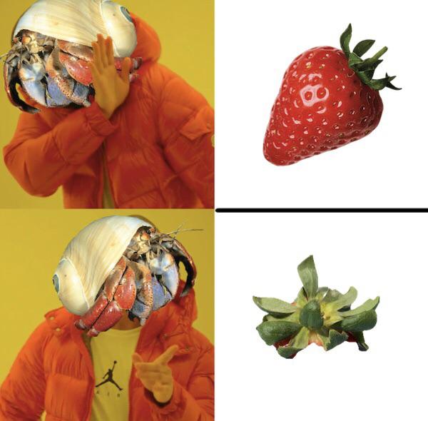 Inspired by my crabs eating the strawberry leaves ONLY r/hermitcrabs