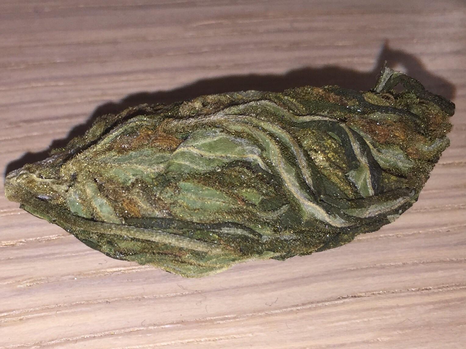 Possibly green crack, melbourne. r/ausents