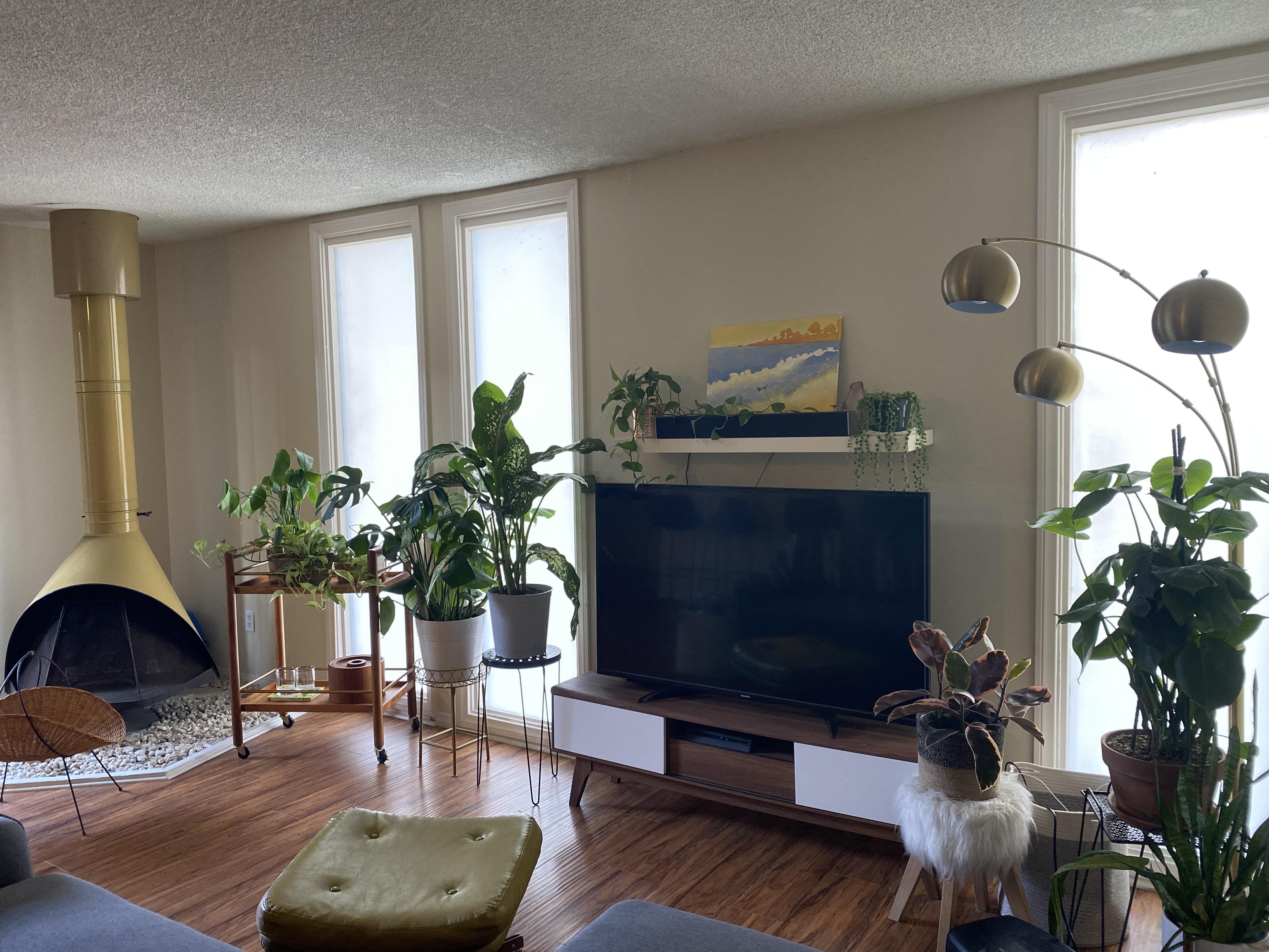 How do you maintain humidity with lots of wood and damageable items