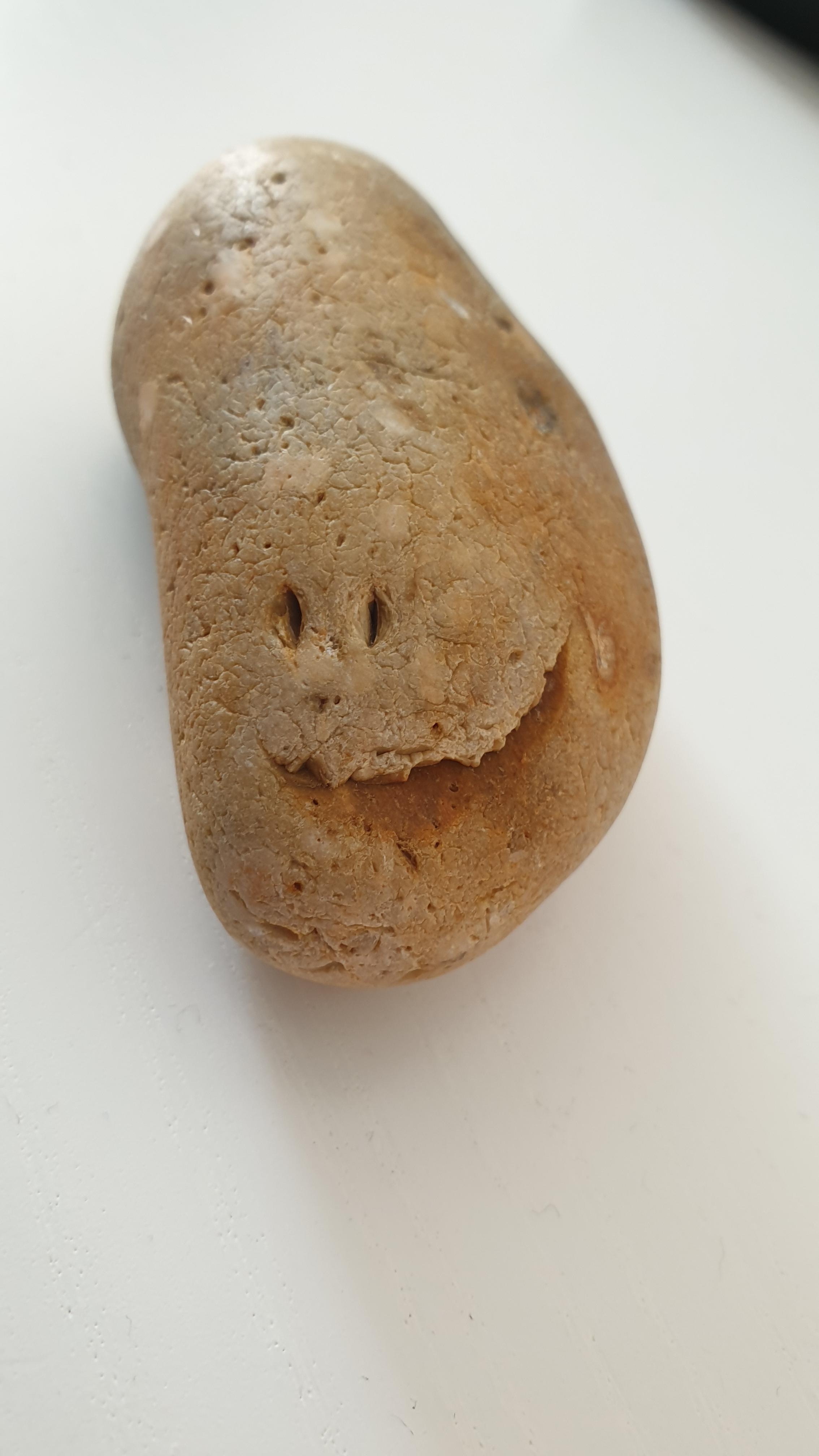 This rock i found that has a smiley face on it r/mildlyinteresting