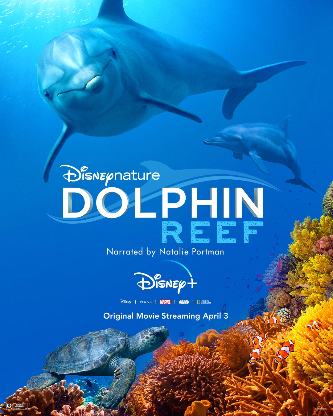 Official Poster for DisneyNature's Dolphin Reef. Narrated by Natalie Portman, it starts