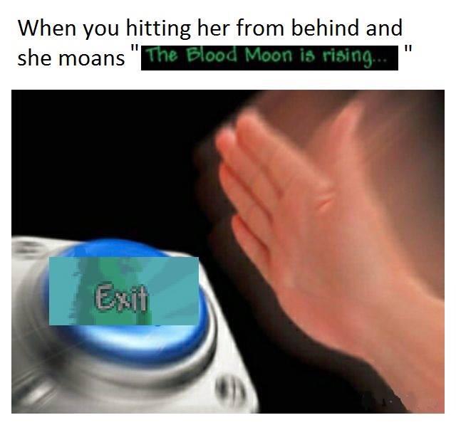 Blood moon is rising Terraria