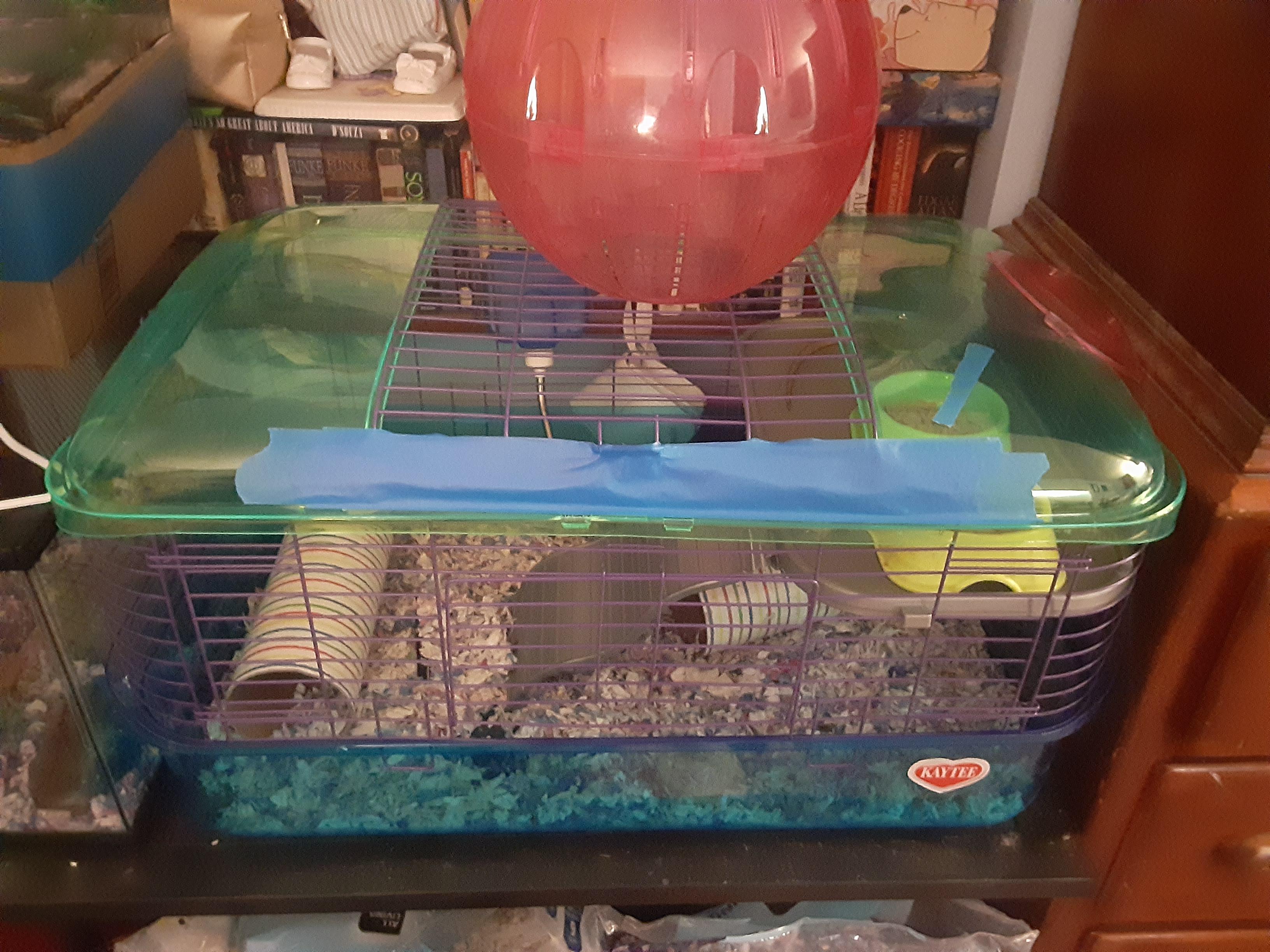 Soooo my rattos chewed a hole in the cage so I had to give them the