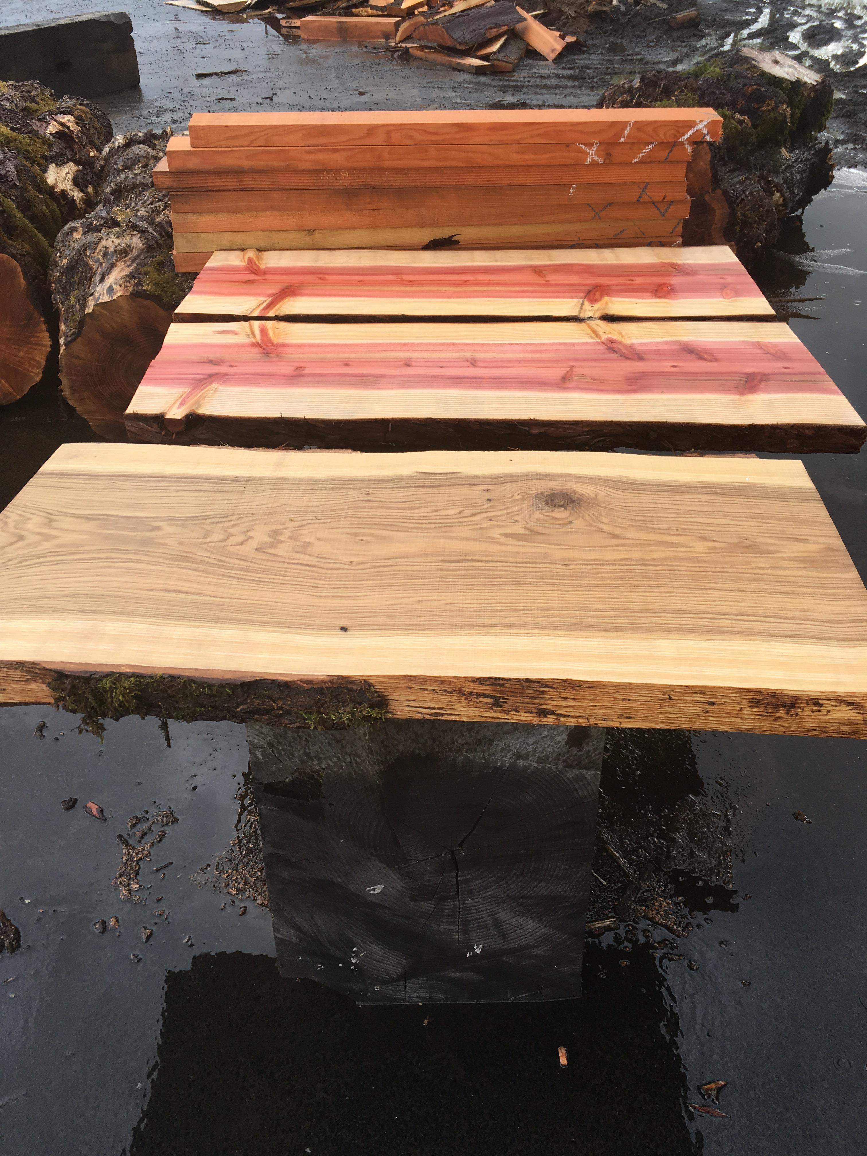 Picked up a few new projects from work today, fresh cut and drying out