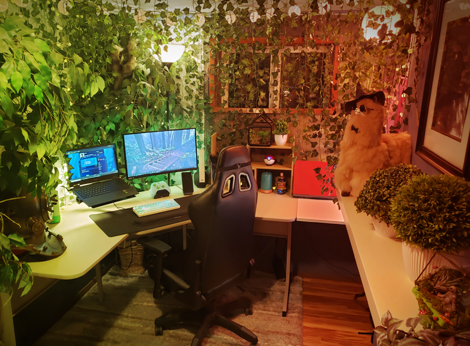 Completed my Nature Setup r/battlestations