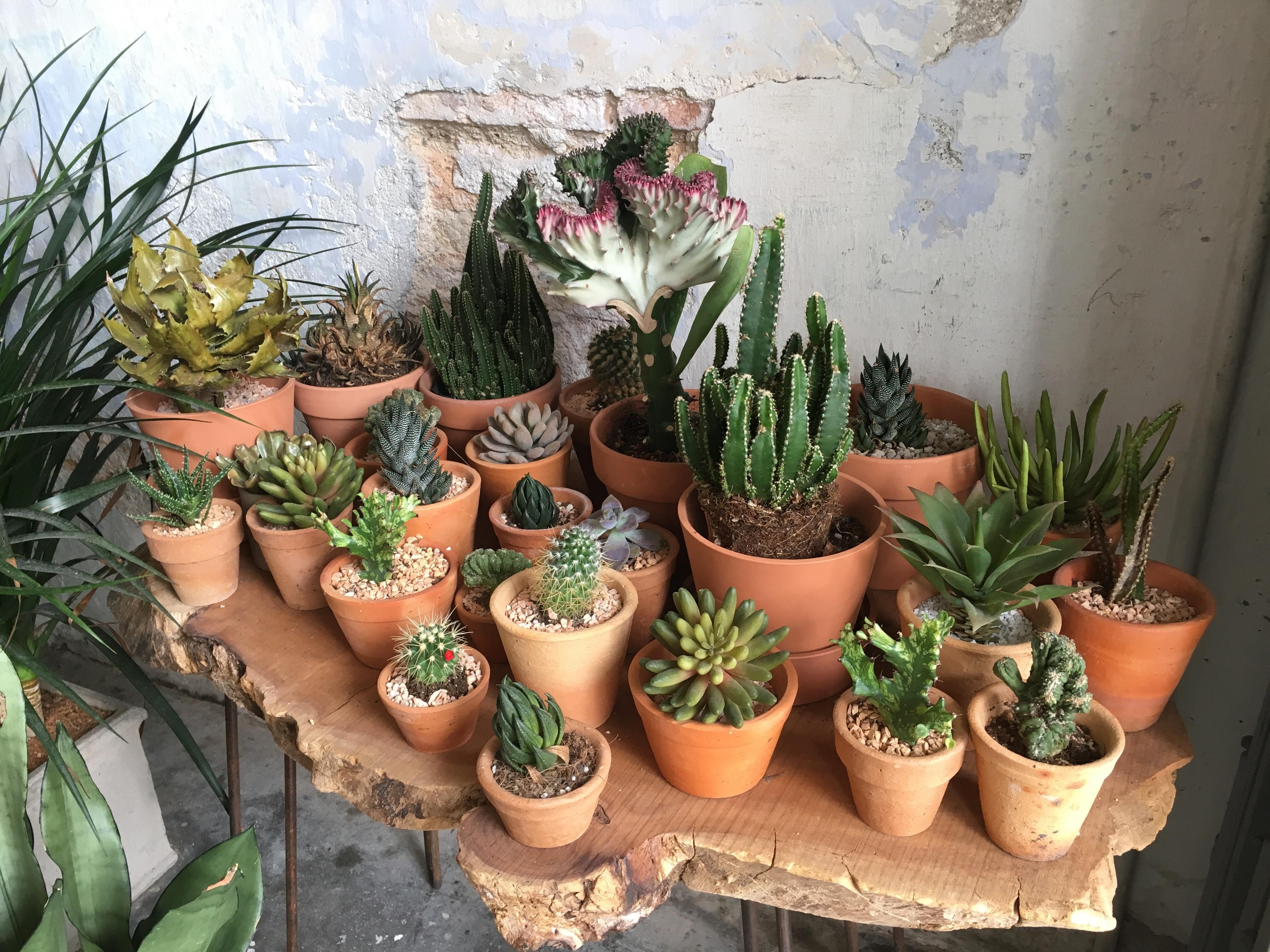 Took this a year and a half ago in Penang, Malaysia. This made me want