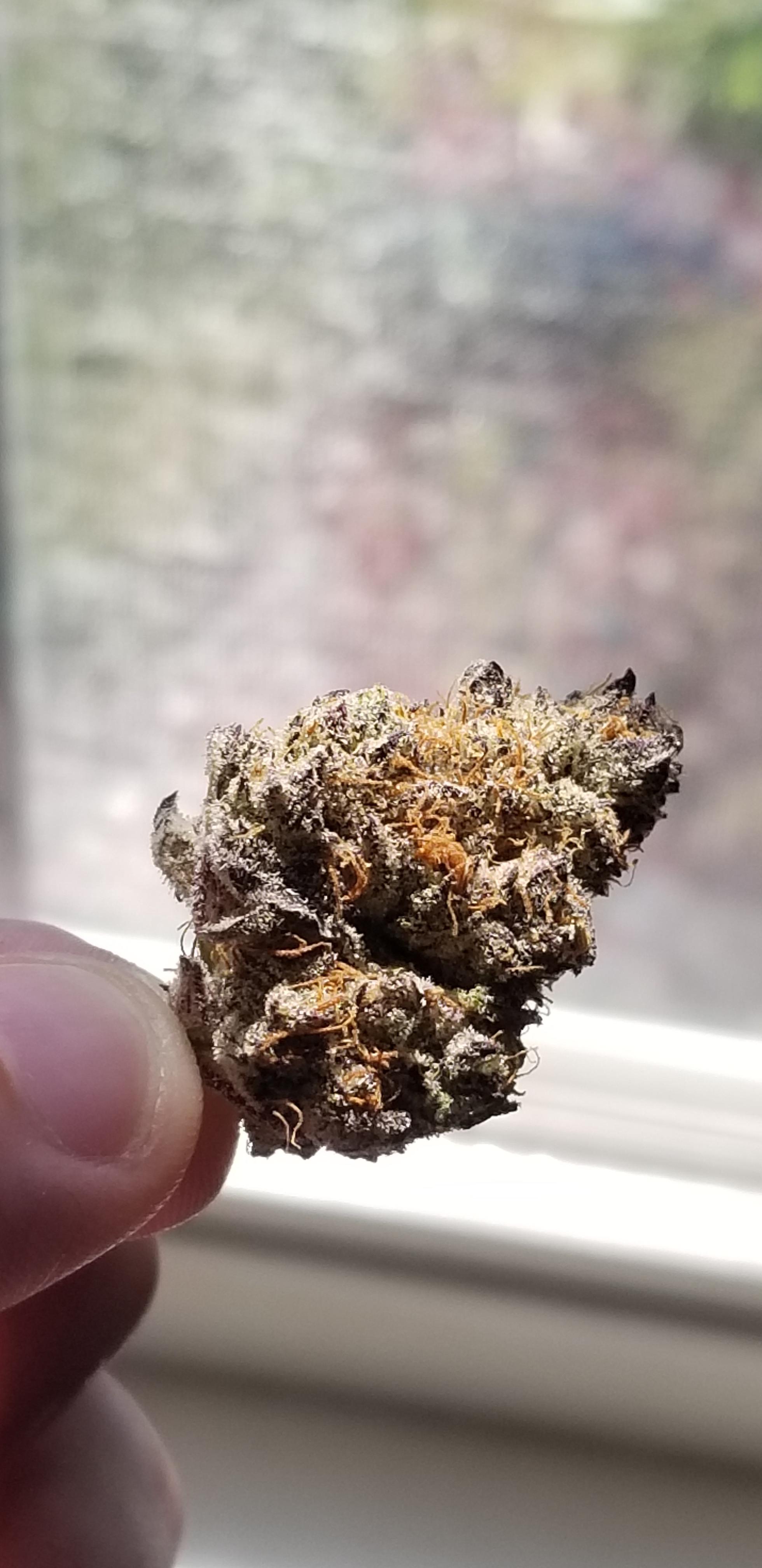 Ice Cream Cake Garden State Dispensary NewJerseyMarijuana