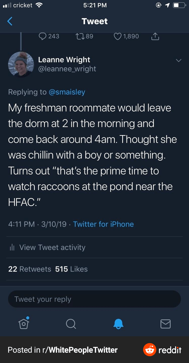 Late night shenanigans r/MadeMeSmile