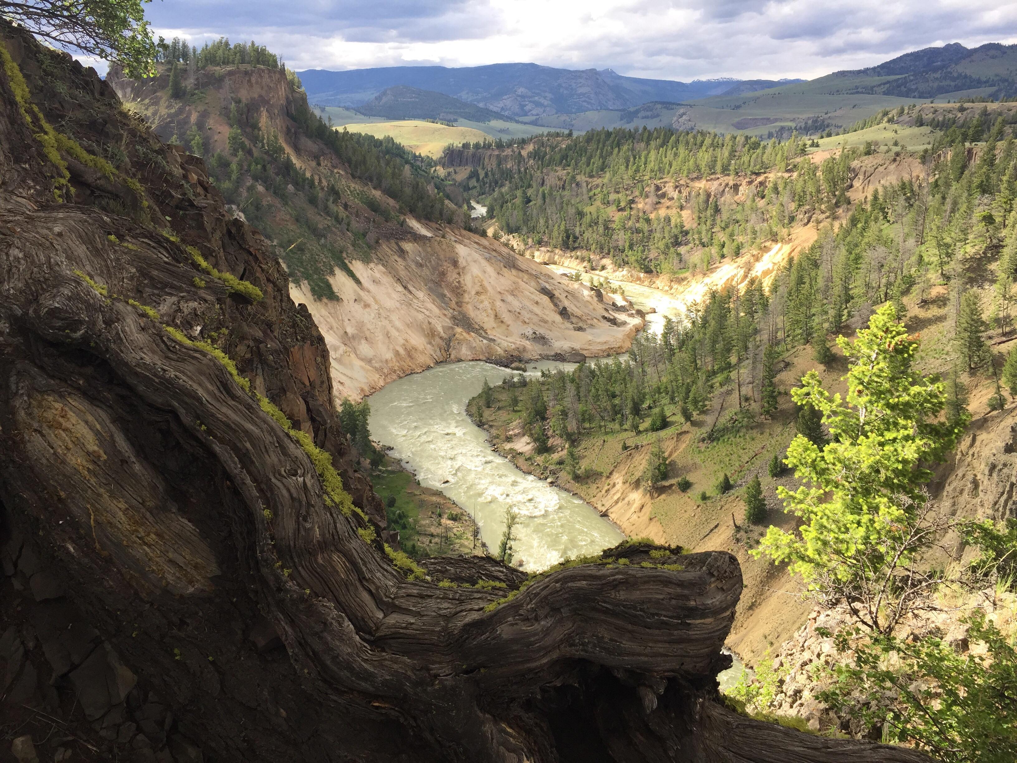 Late afternoon light over Yellowstone River in Yellowstone National