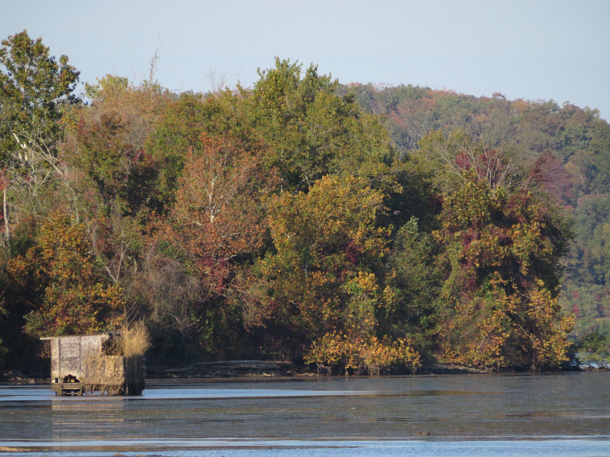 Fall colors at Occoquan Bay. r/nova