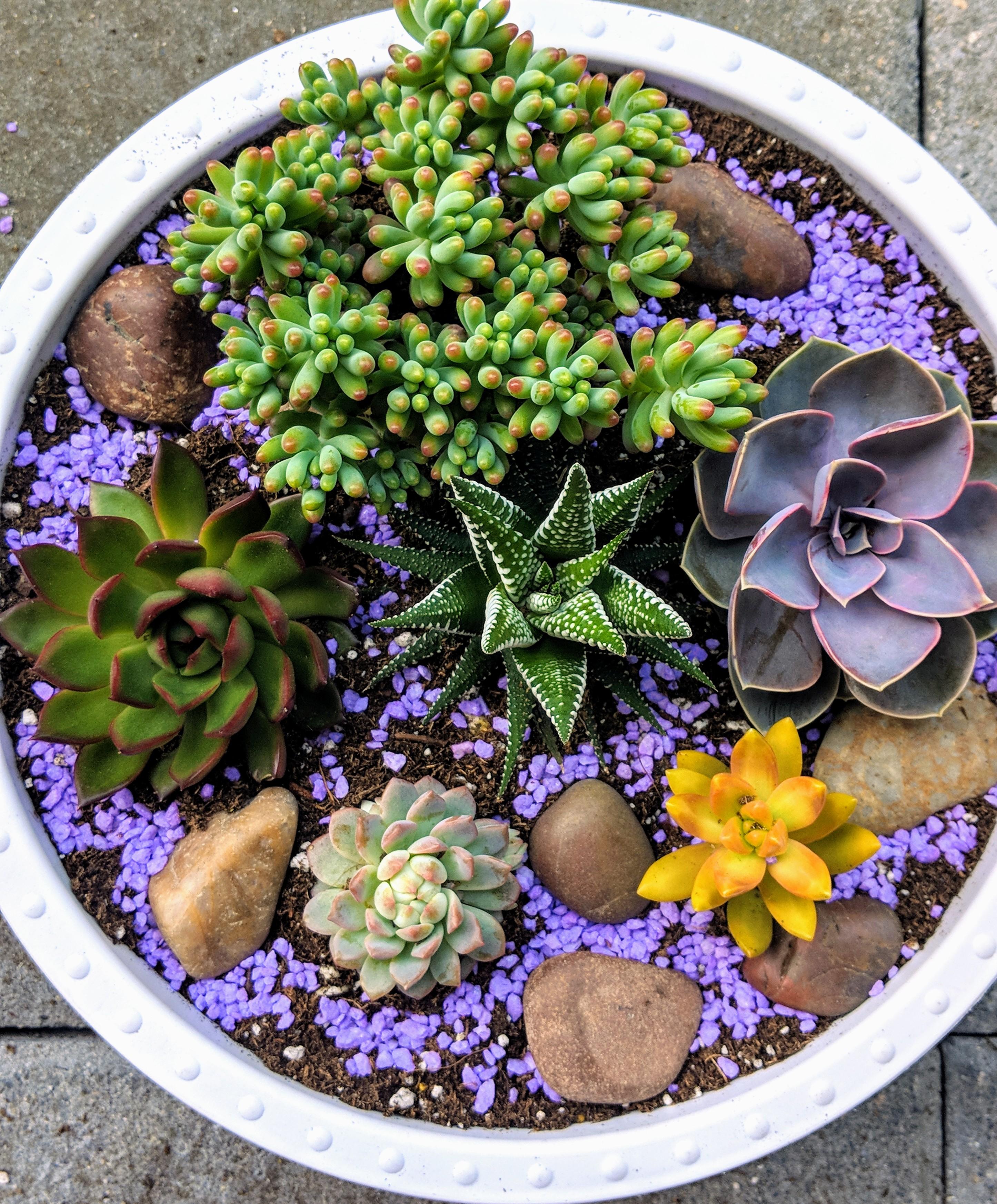 Instead of buying an expensive bouquet of flowers for Mother's Day